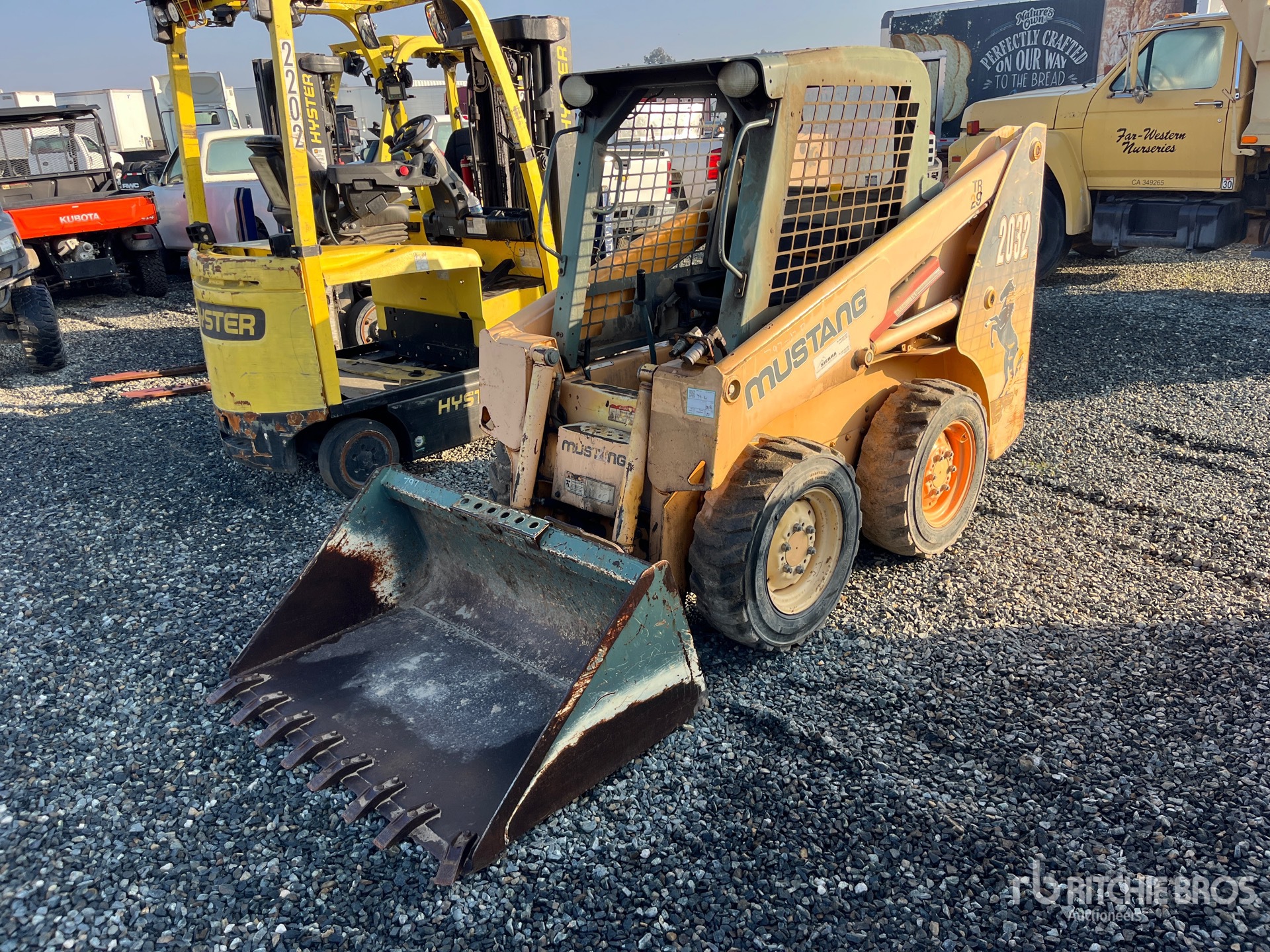 General Appearance with Featured Photo