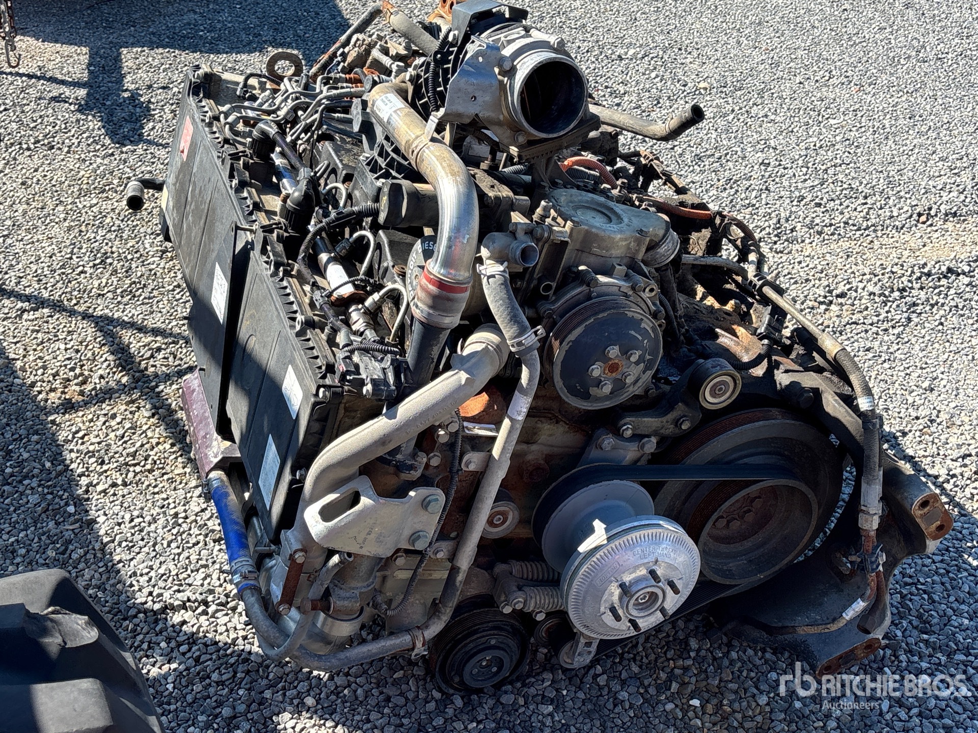 General Appearance with Image, coin avant droit