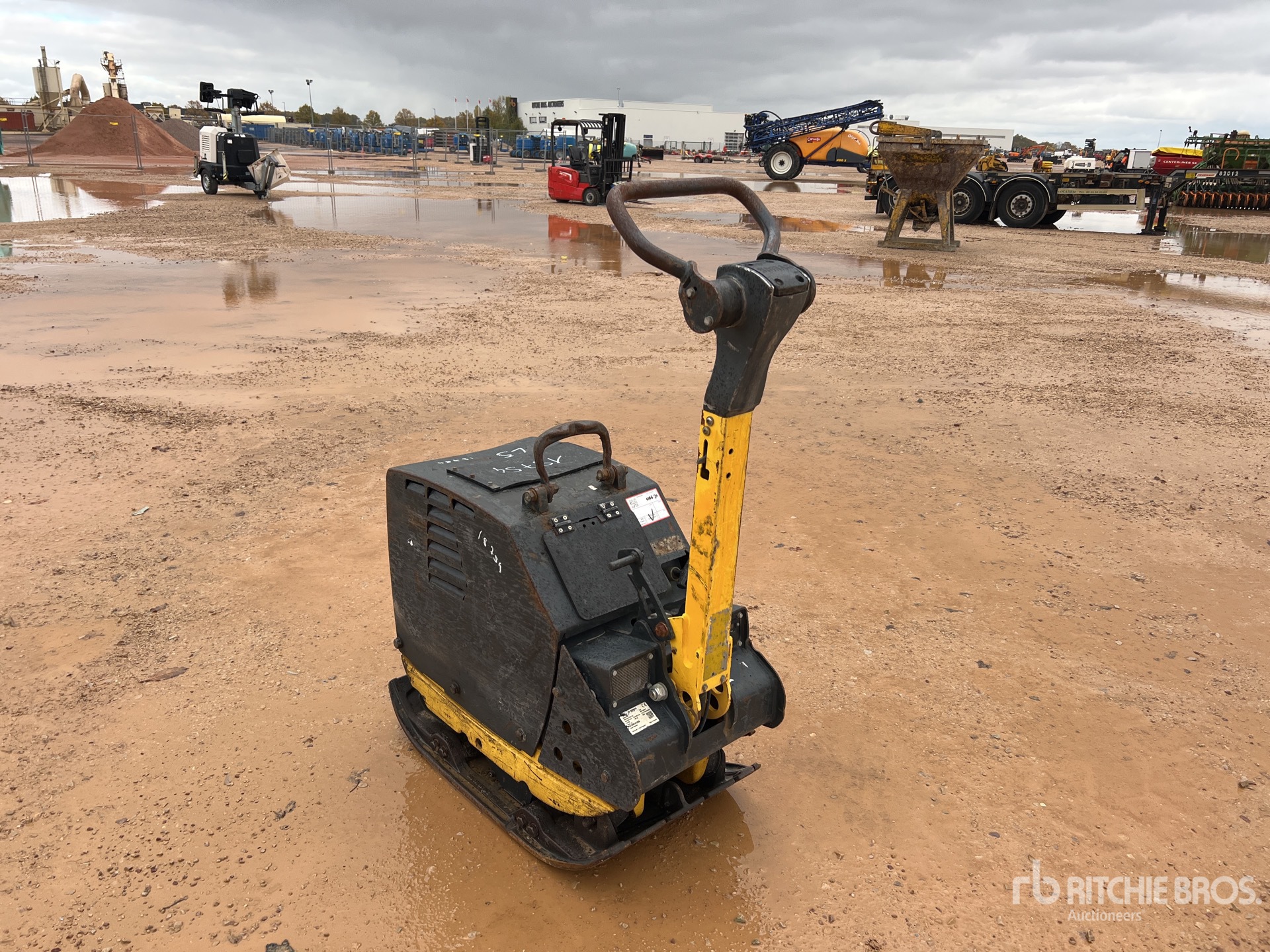 General Appearance with