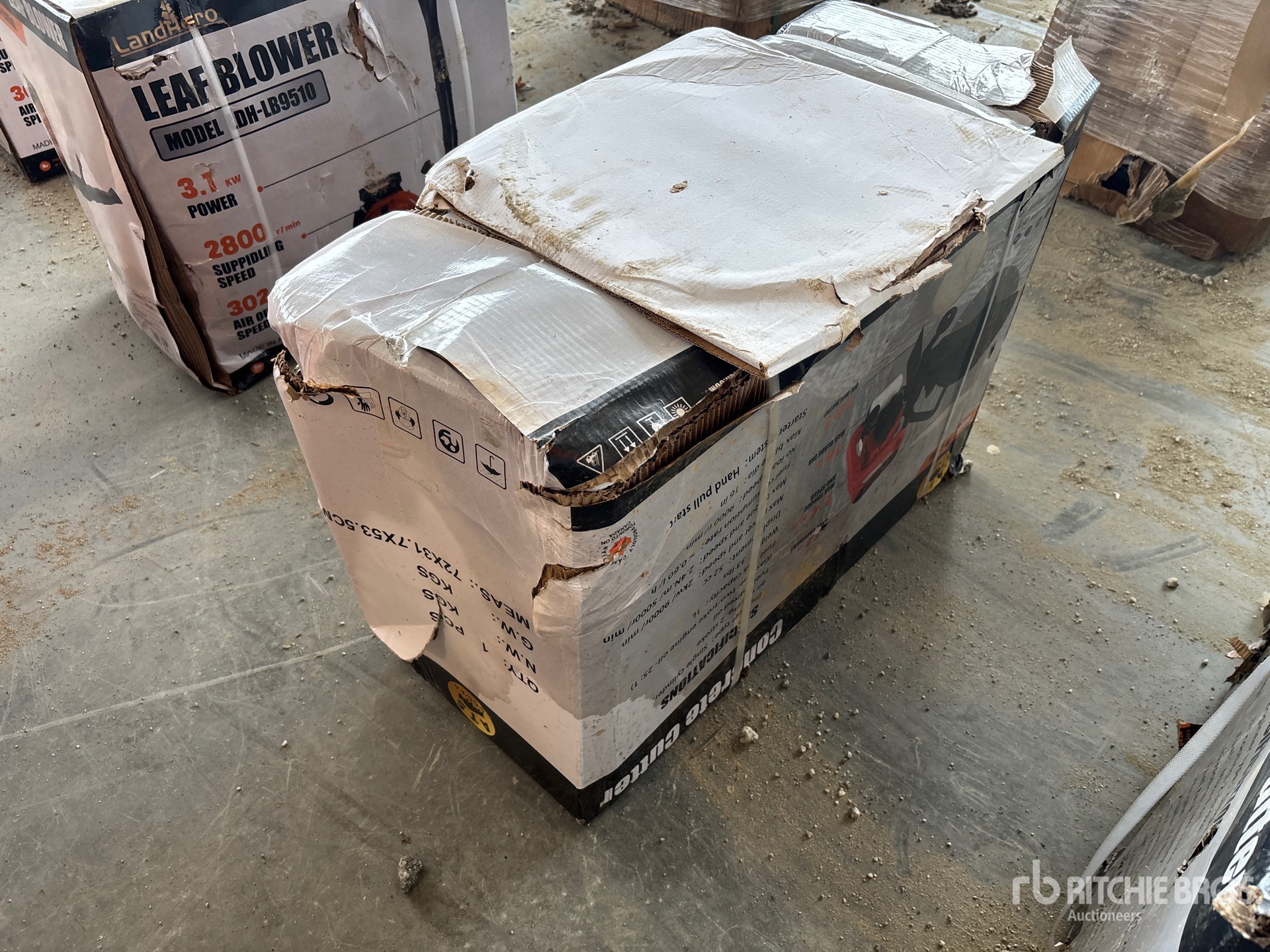 General Appearance with Picture, Right Rear Corner