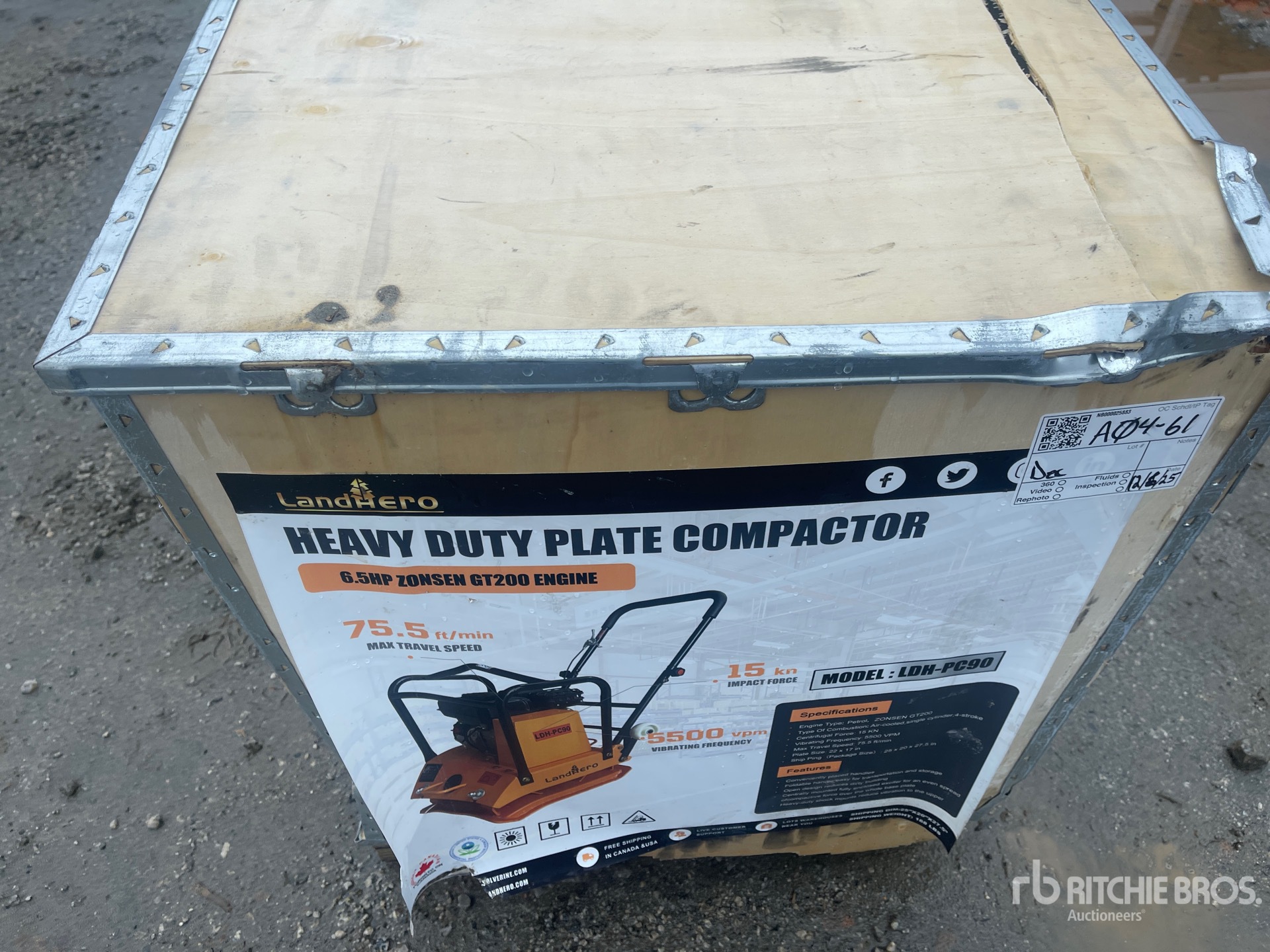 General Appearance with