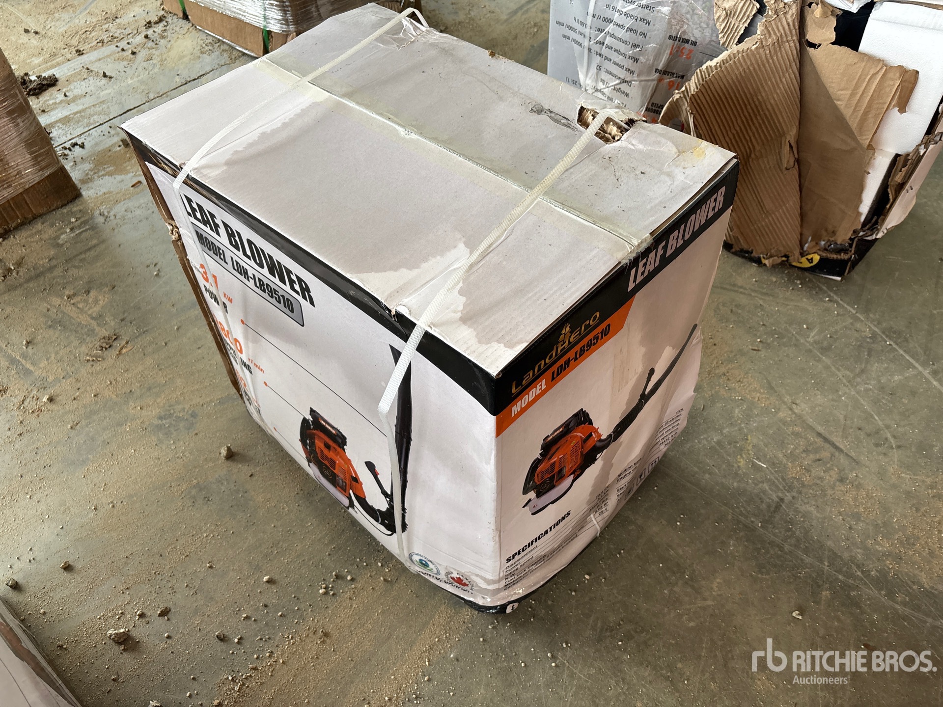 General Appearance with Picture, Right Front Corner