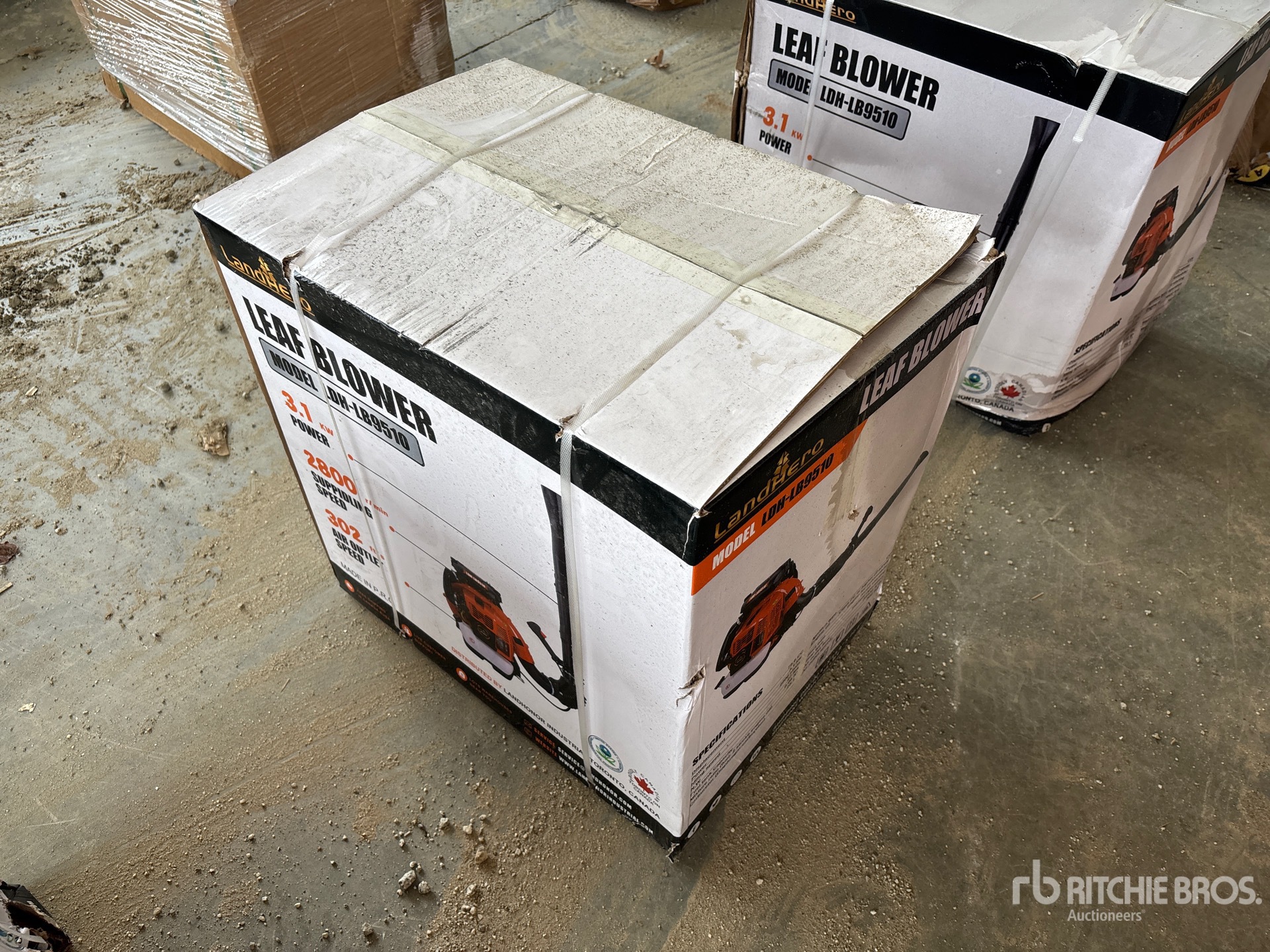 General Appearance with Picture, Right Front Corner