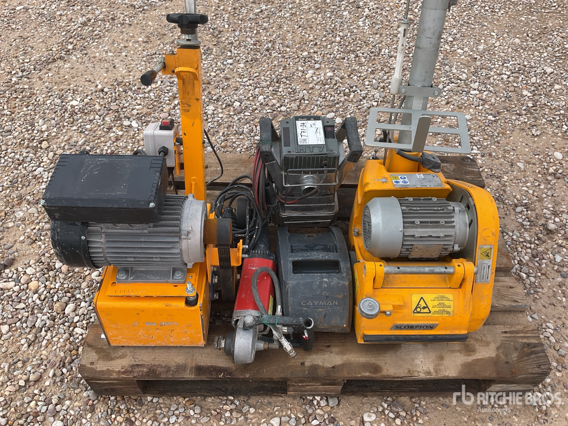 General Appearance with 