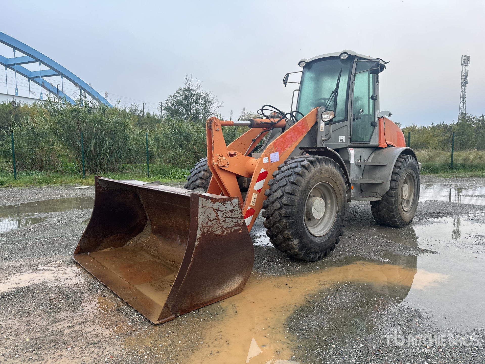 General Appearance with 