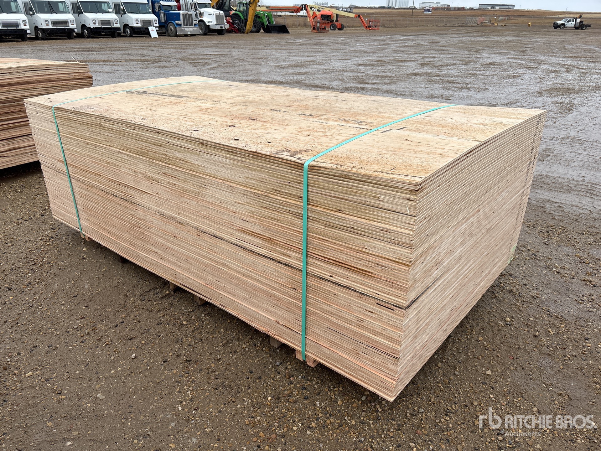 General Appearance with Foto, angolo anteriore sinistro