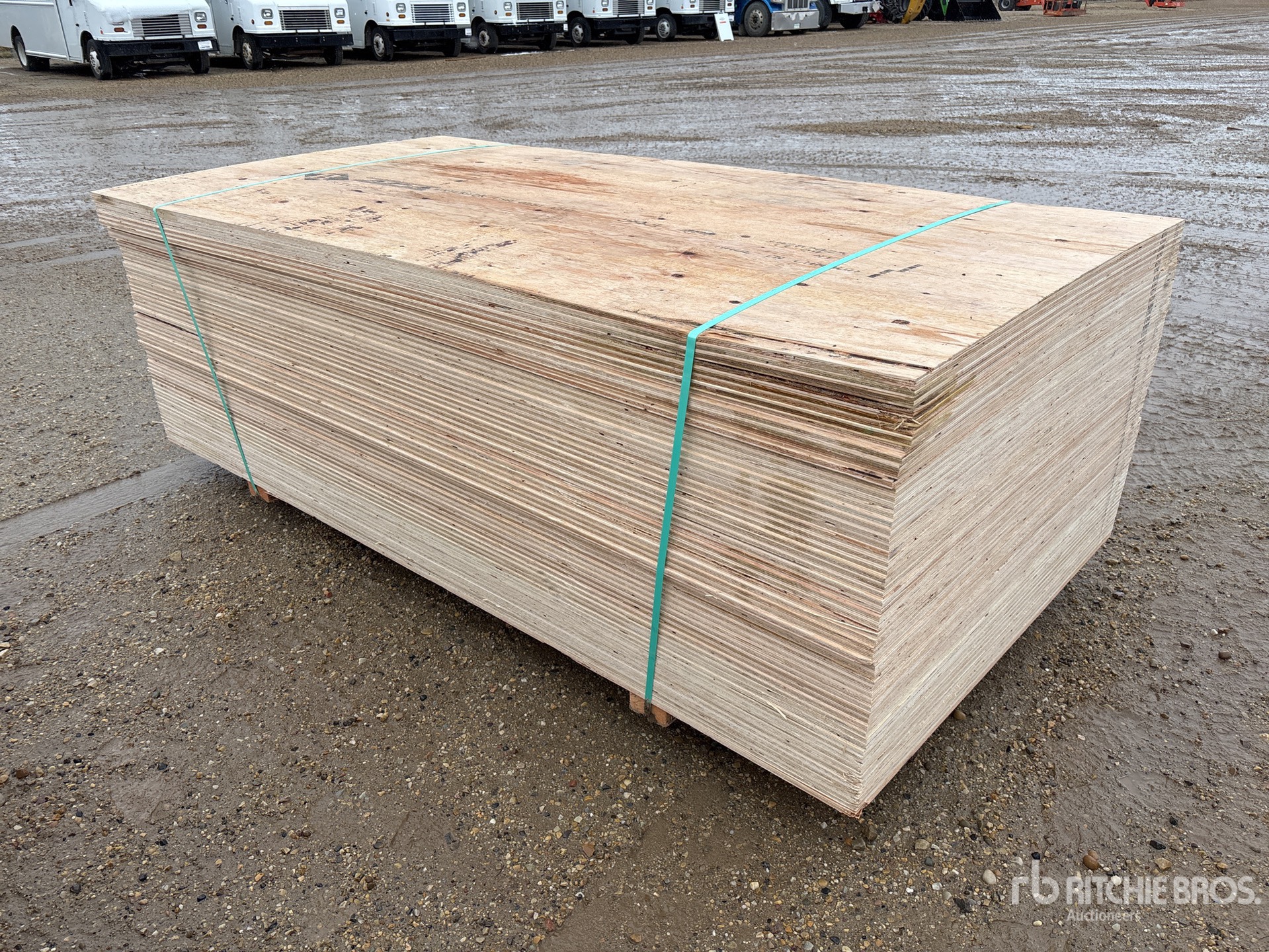 General Appearance with Foto, angolo anteriore sinistro