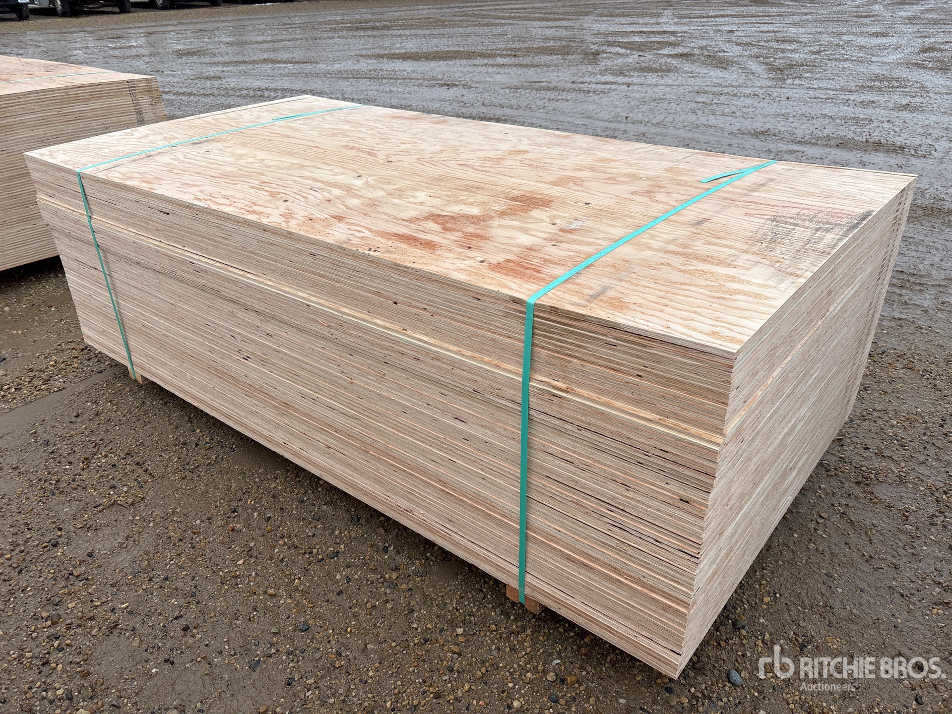 General Appearance with Foto, angolo anteriore sinistro