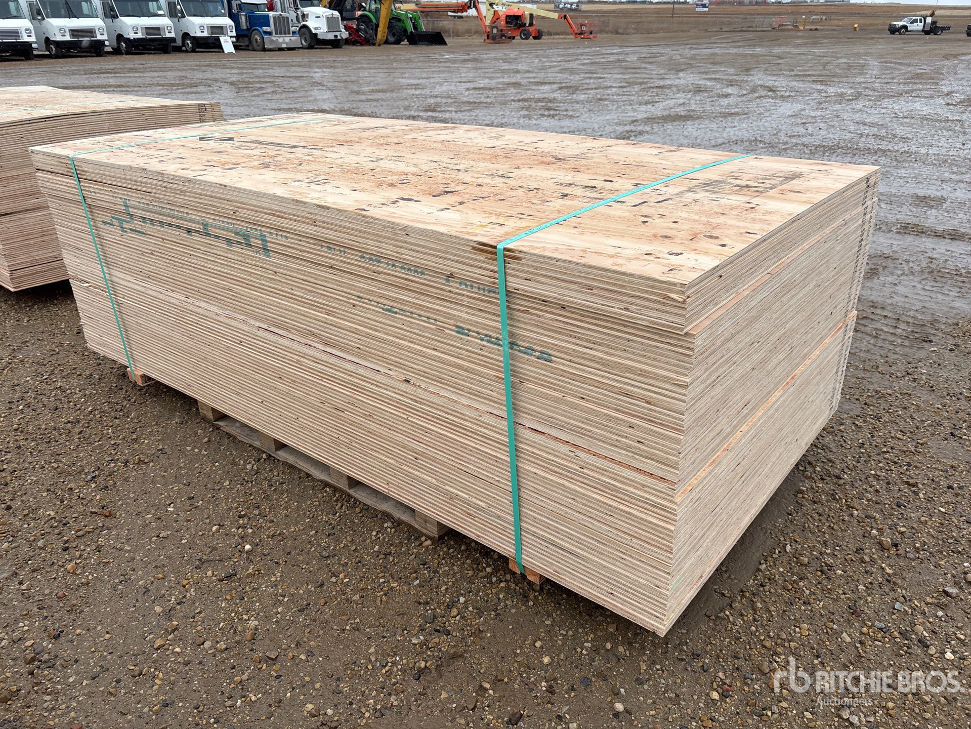 General Appearance with Foto, angolo anteriore sinistro