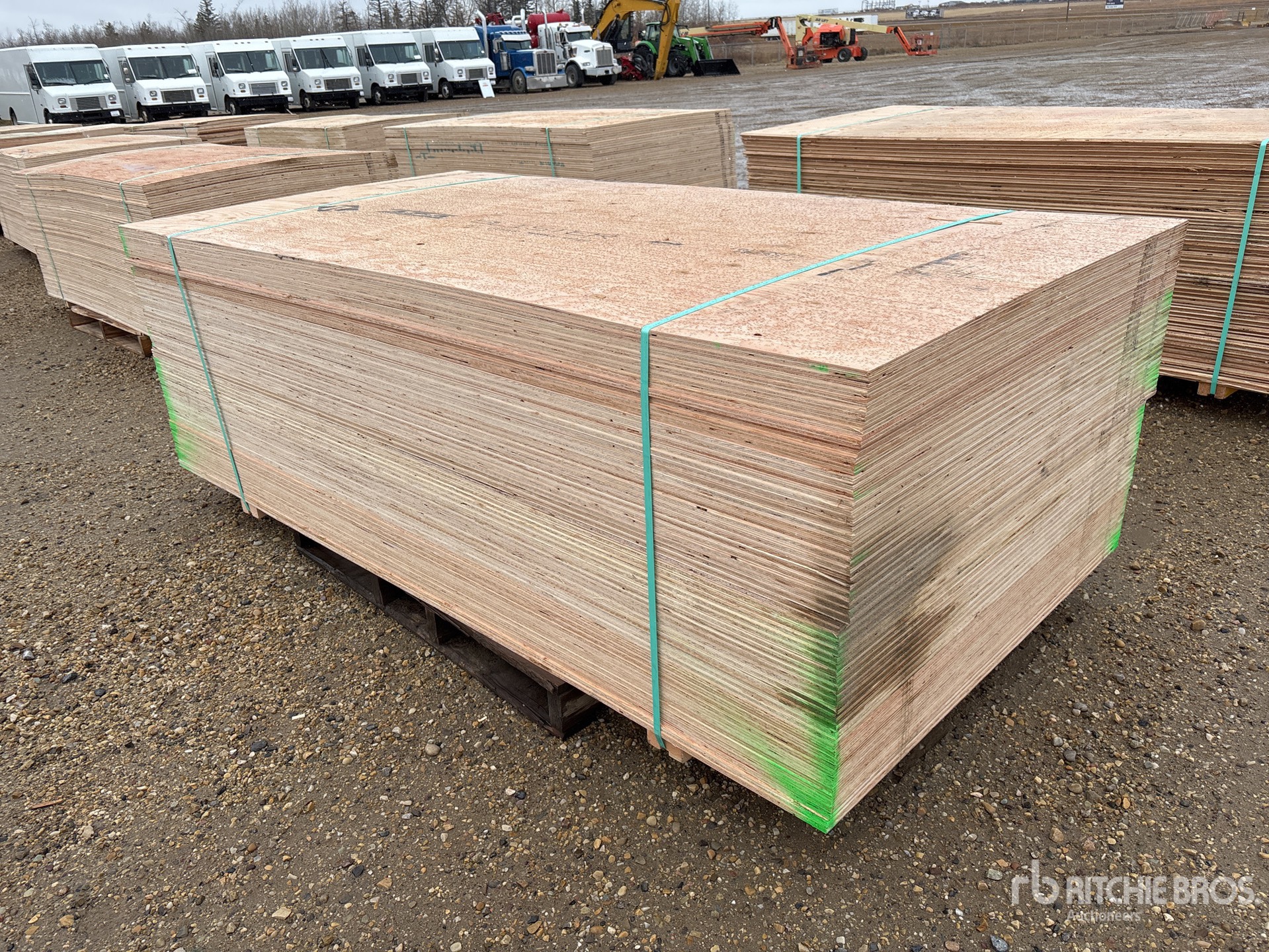 General Appearance with Foto, angolo anteriore sinistro