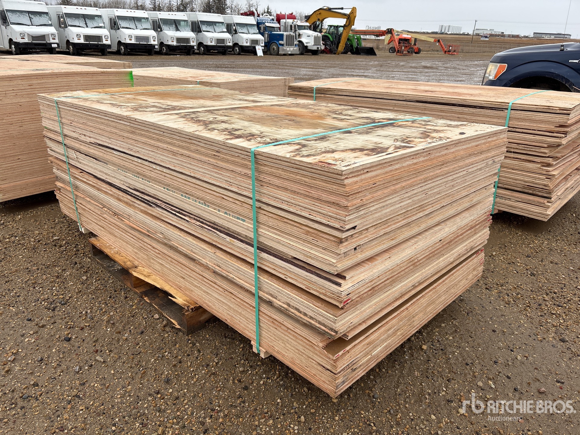 General Appearance with Foto, angolo anteriore sinistro