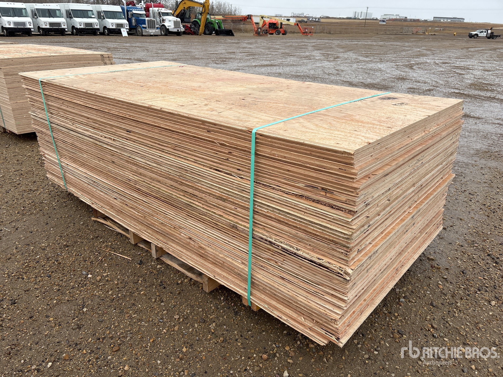 General Appearance with Foto, angolo anteriore sinistro