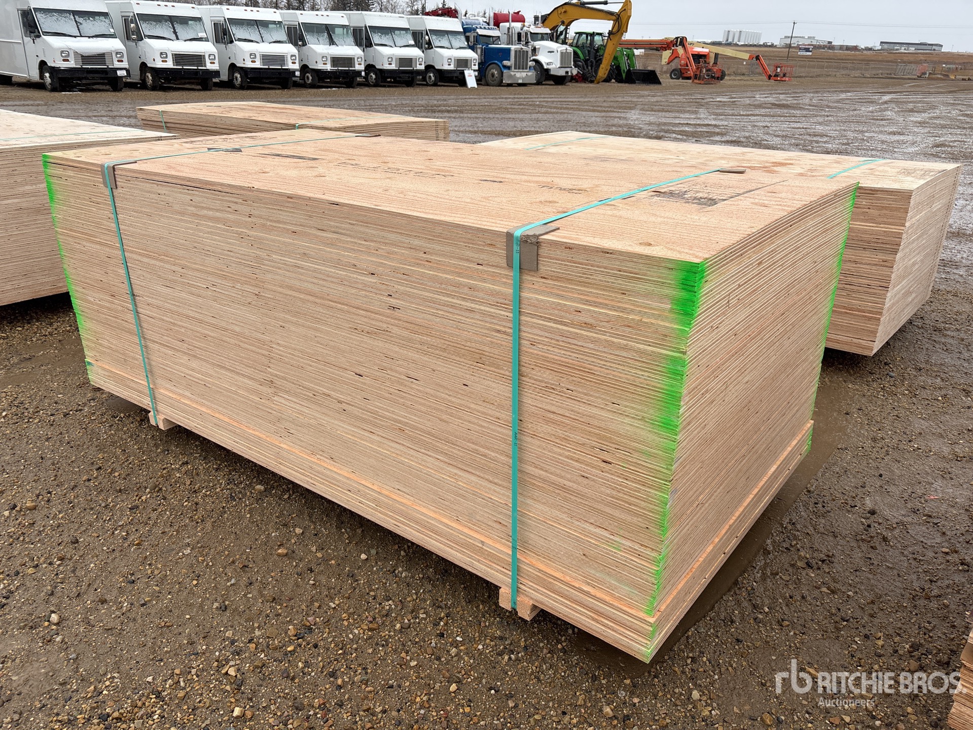 General Appearance with Foto, angolo anteriore sinistro