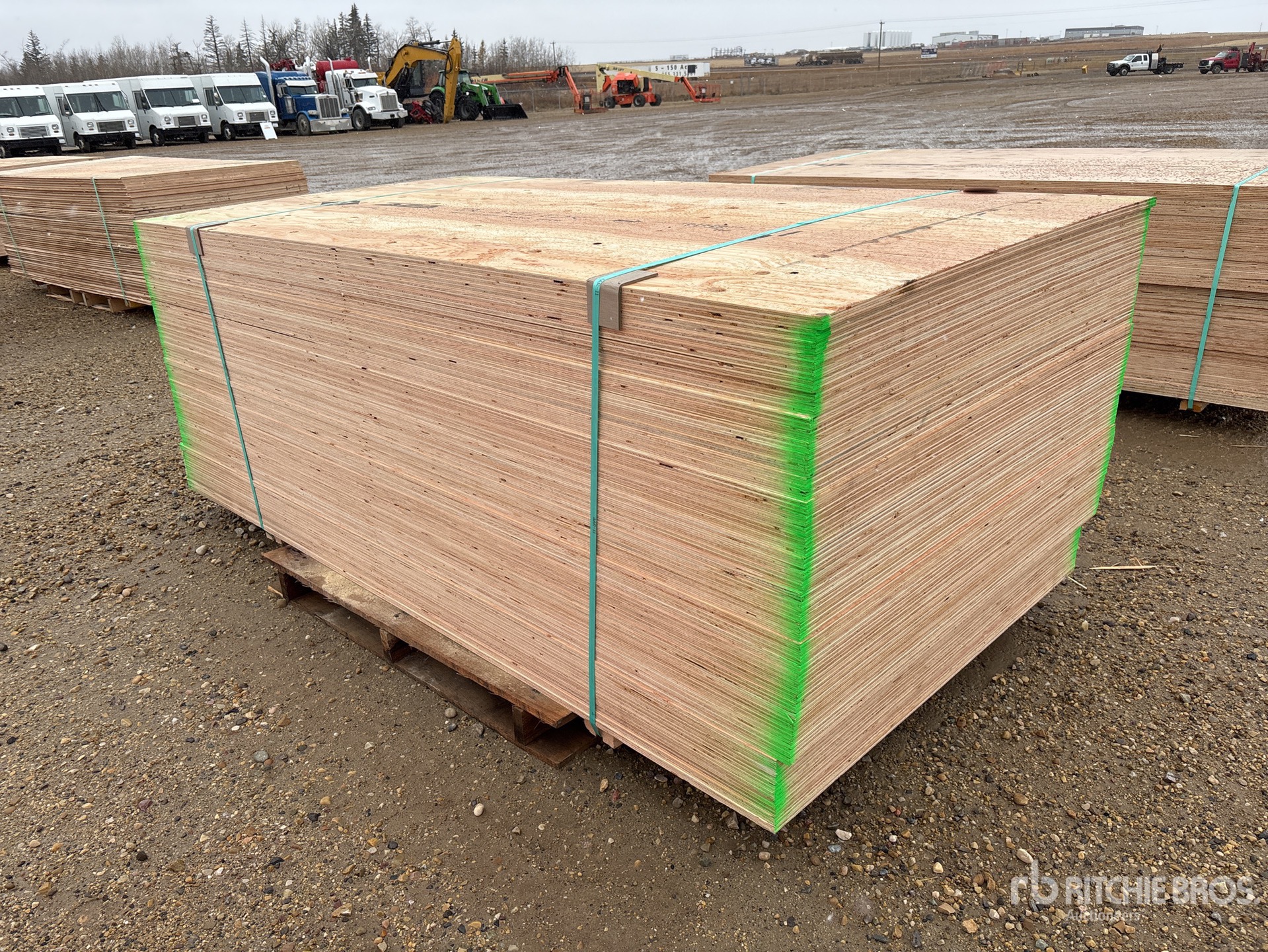 General Appearance with Foto, angolo anteriore sinistro