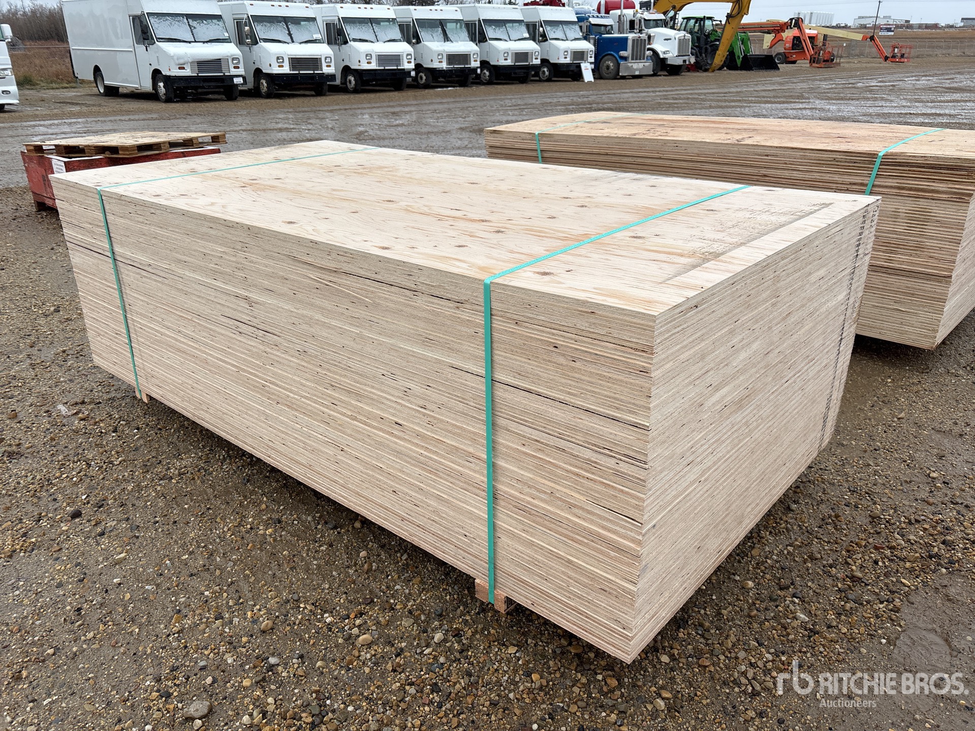 General Appearance with Foto, angolo anteriore sinistro