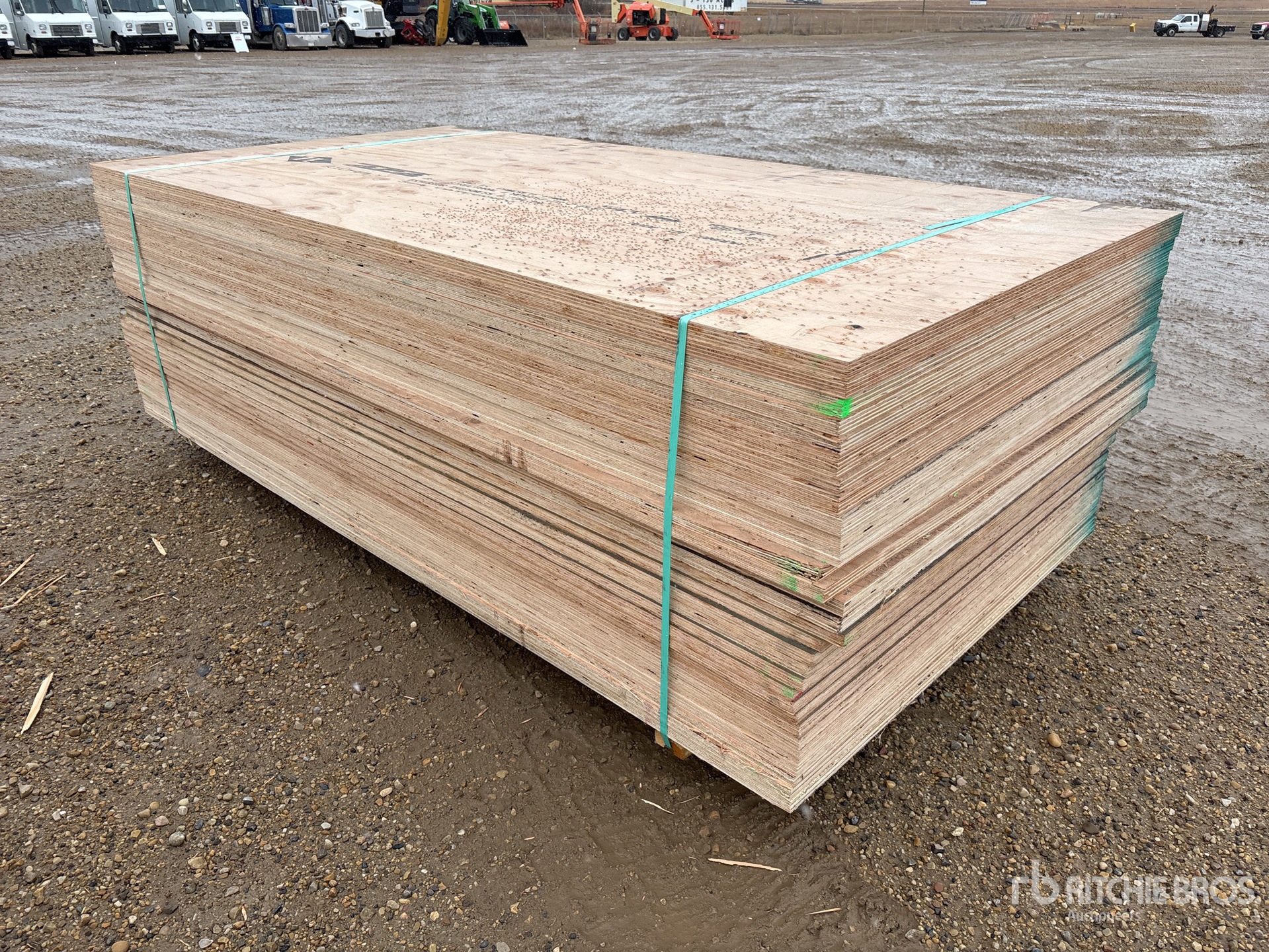 General Appearance with Foto, angolo anteriore sinistro