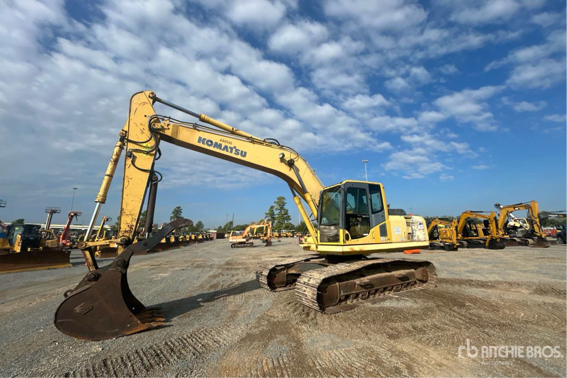 General Appearance with Spin