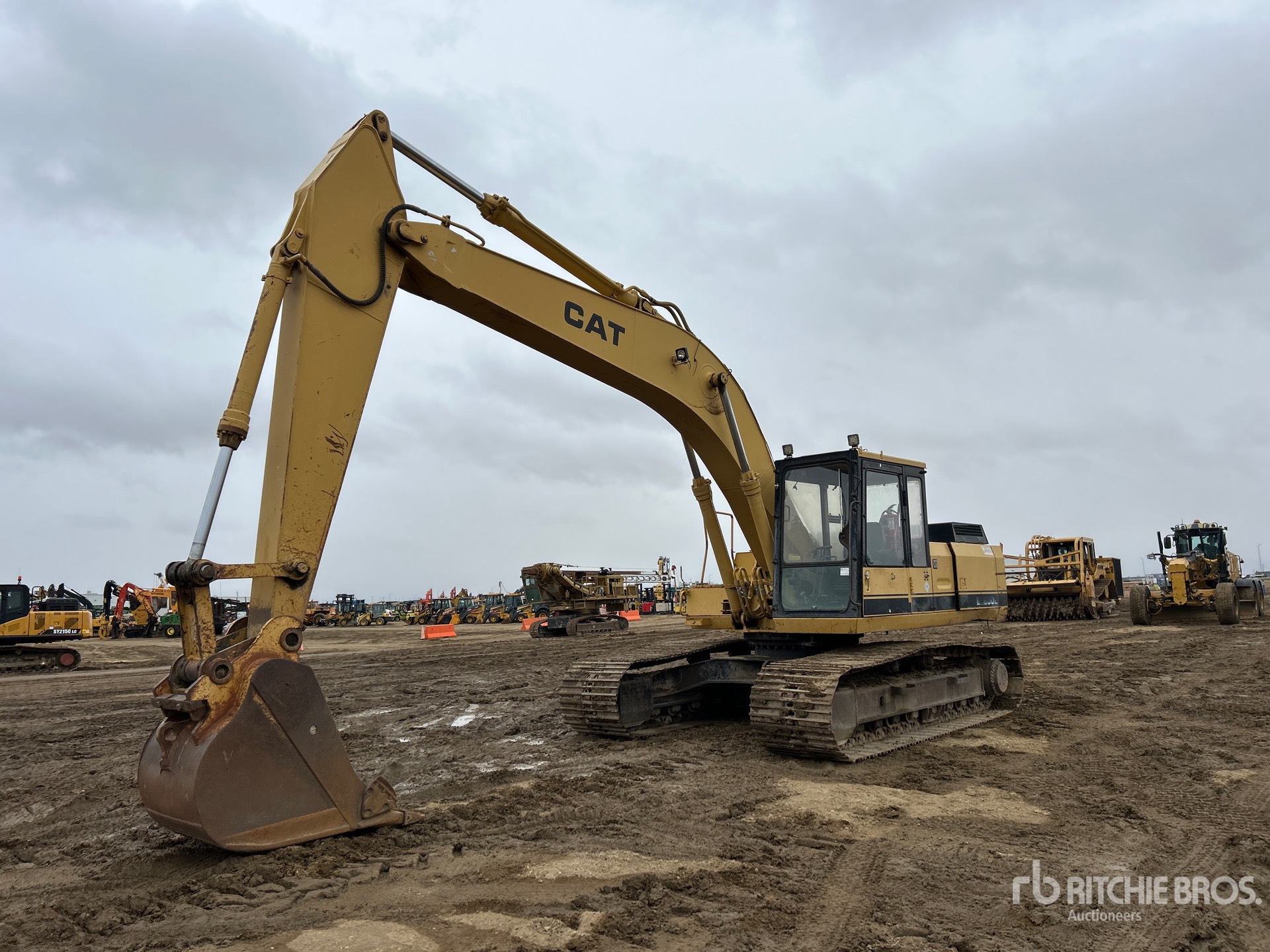 General Appearance with Spin