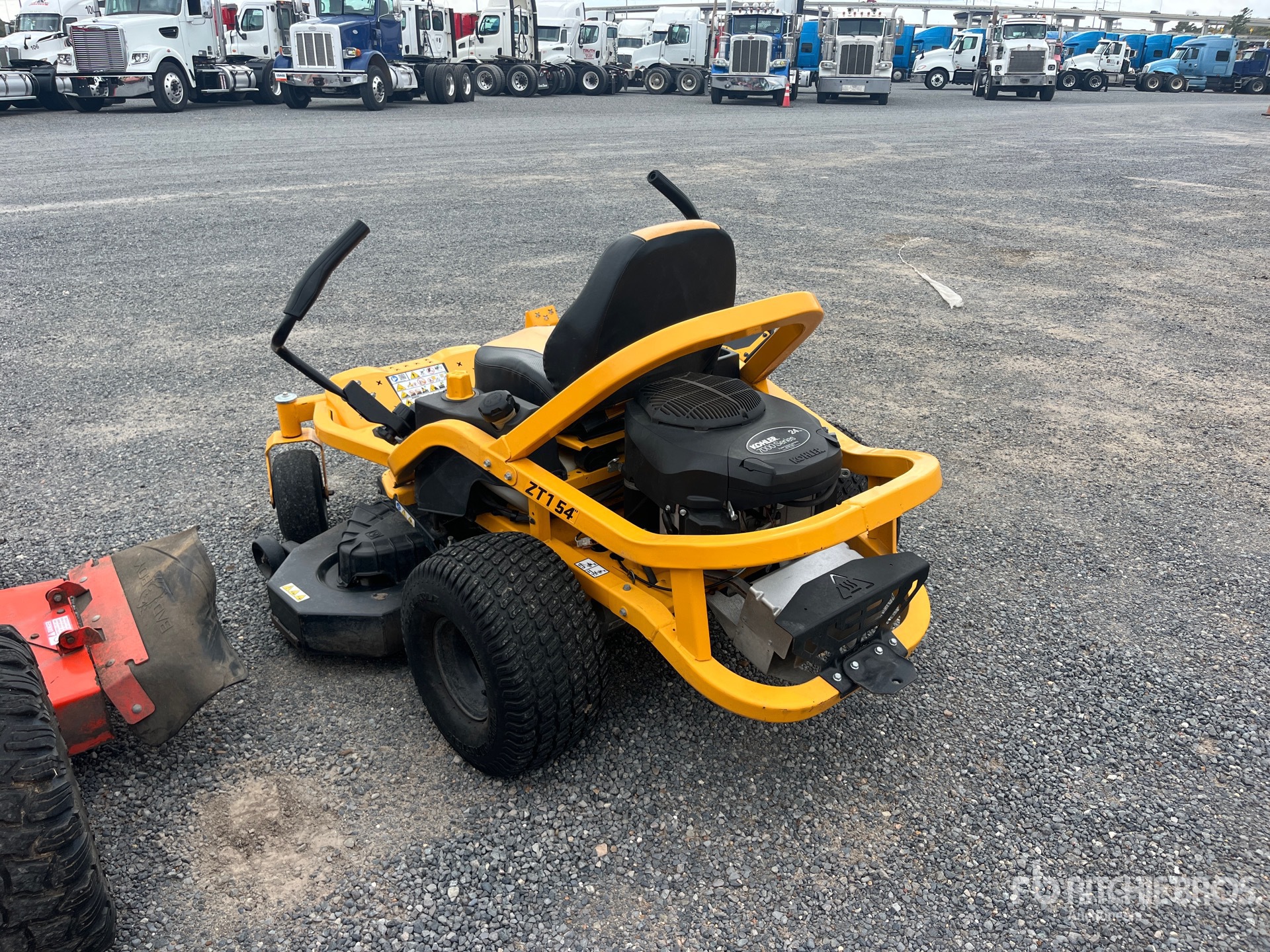 General Appearance with Zdjęcie, lewy dolny róg