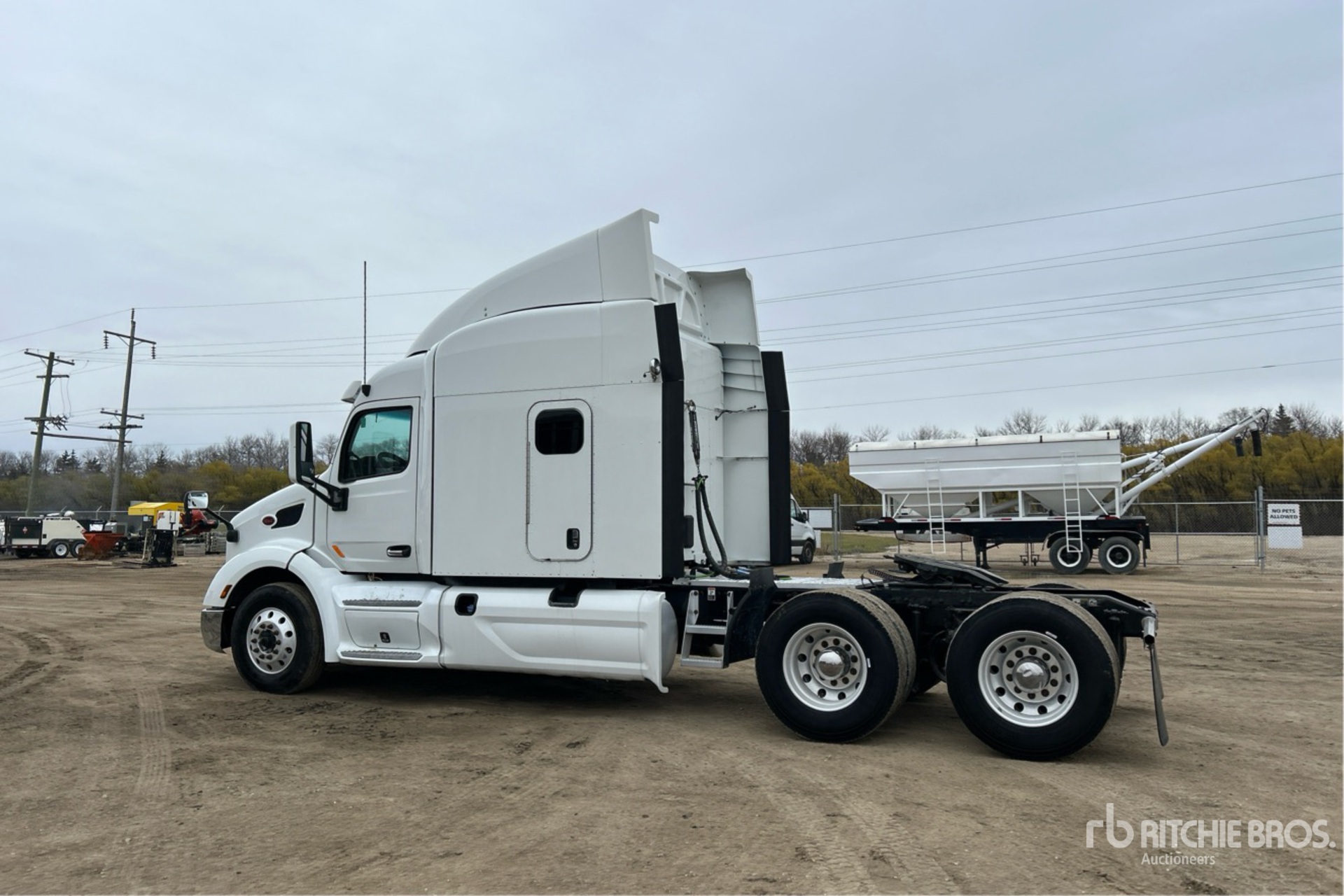 General Appearance with Zdjęcie, lewy dolny róg