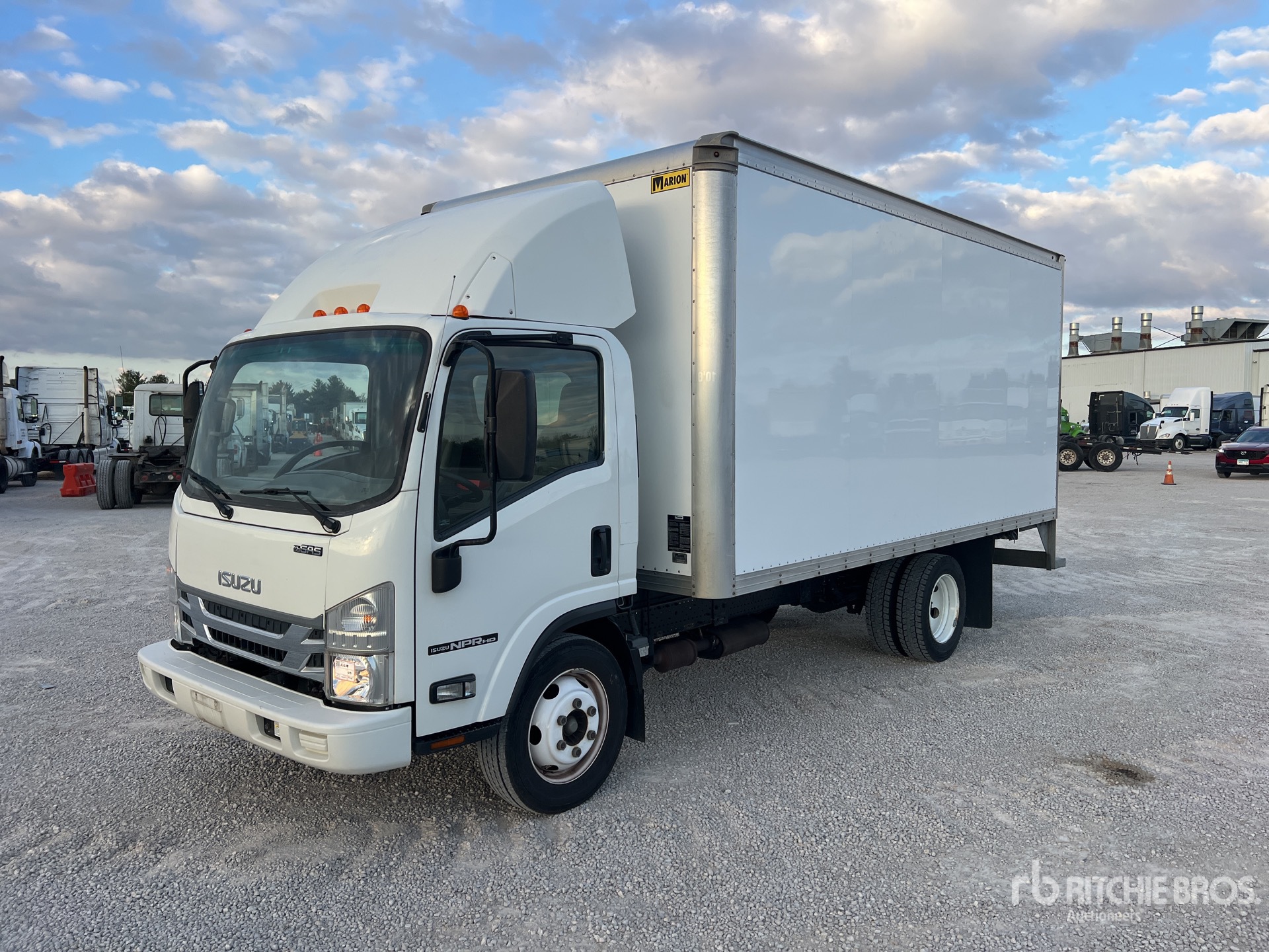 General Appearance with Spin