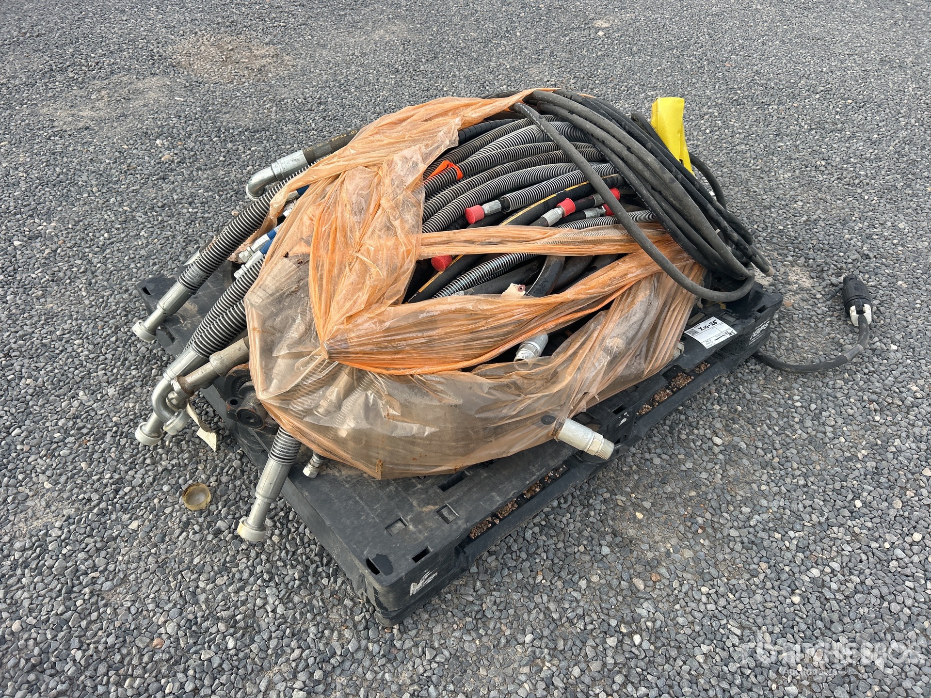 General Appearance with Foto, angolo anteriore destro