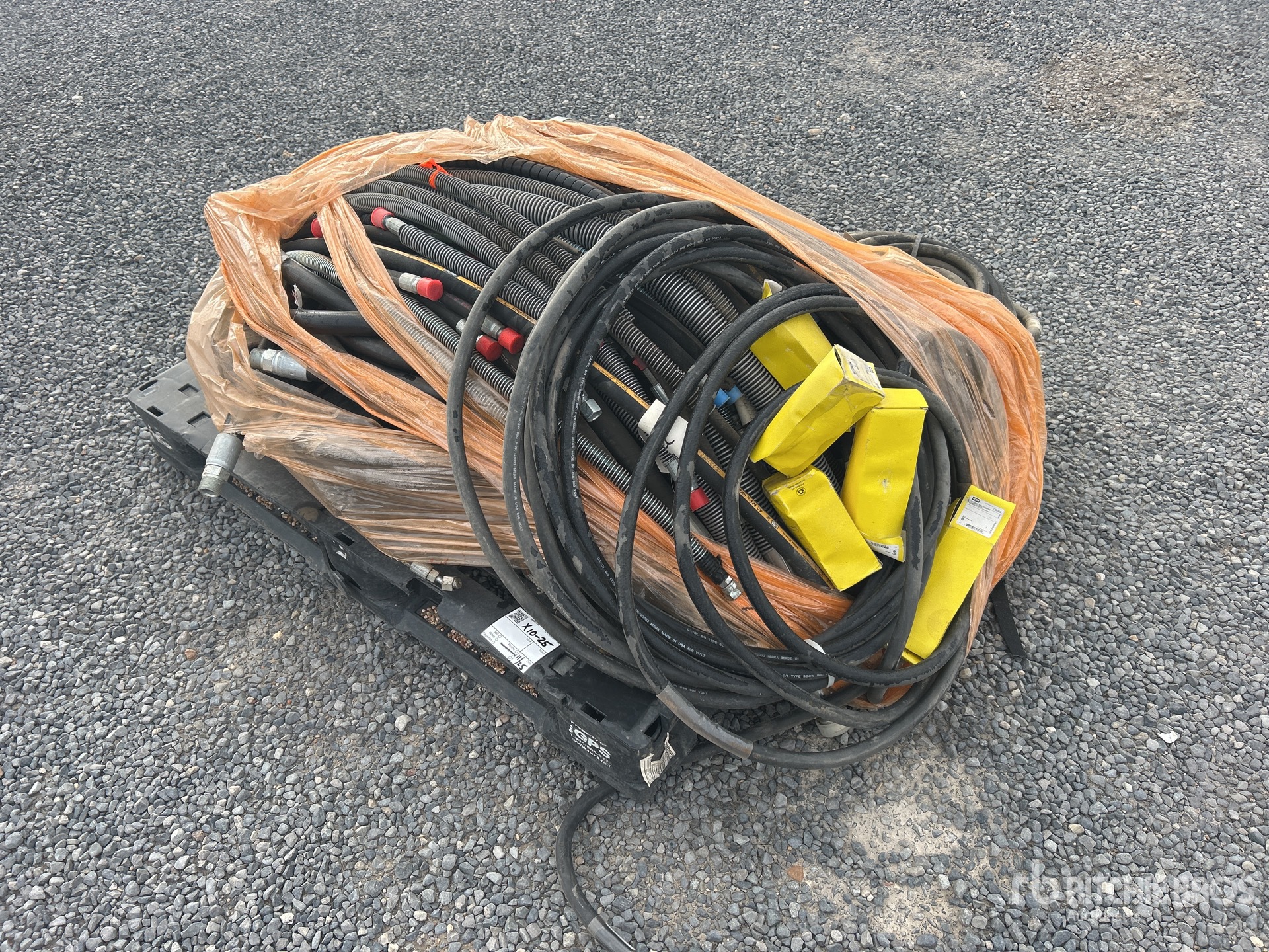 General Appearance with Foto, angolo anteriore sinistro