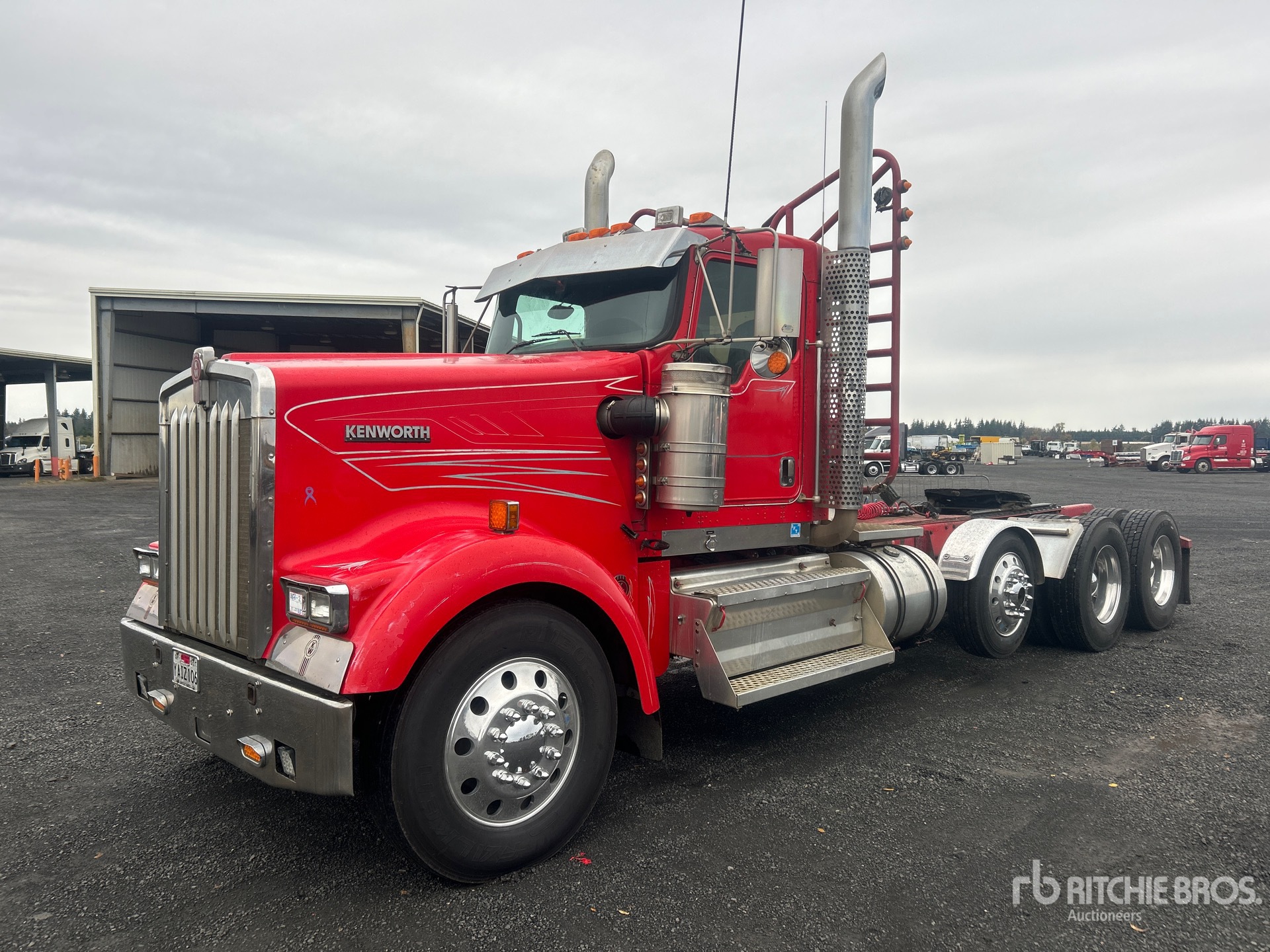 General Appearance with Spin