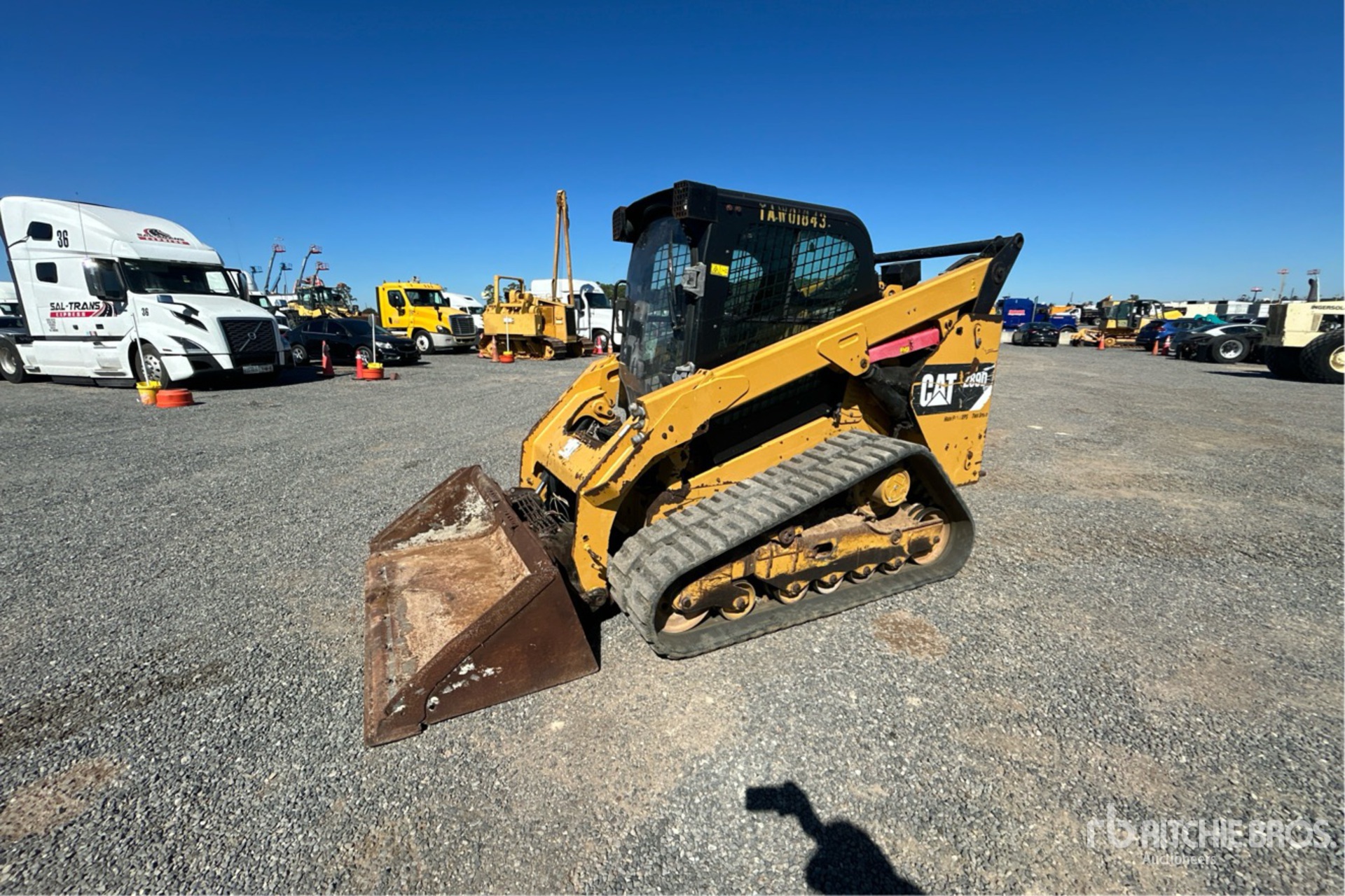 General Appearance with Spin