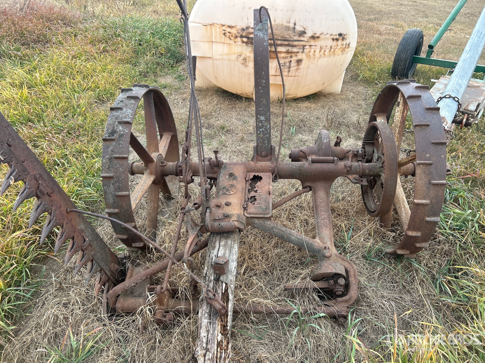 General Appearance with 