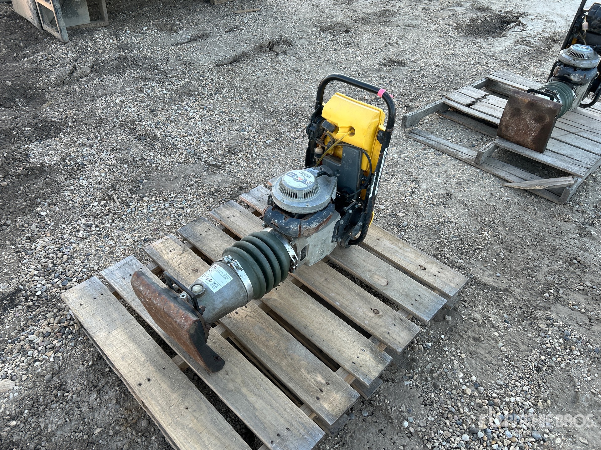 General Appearance with Bild, Ecke vorne links