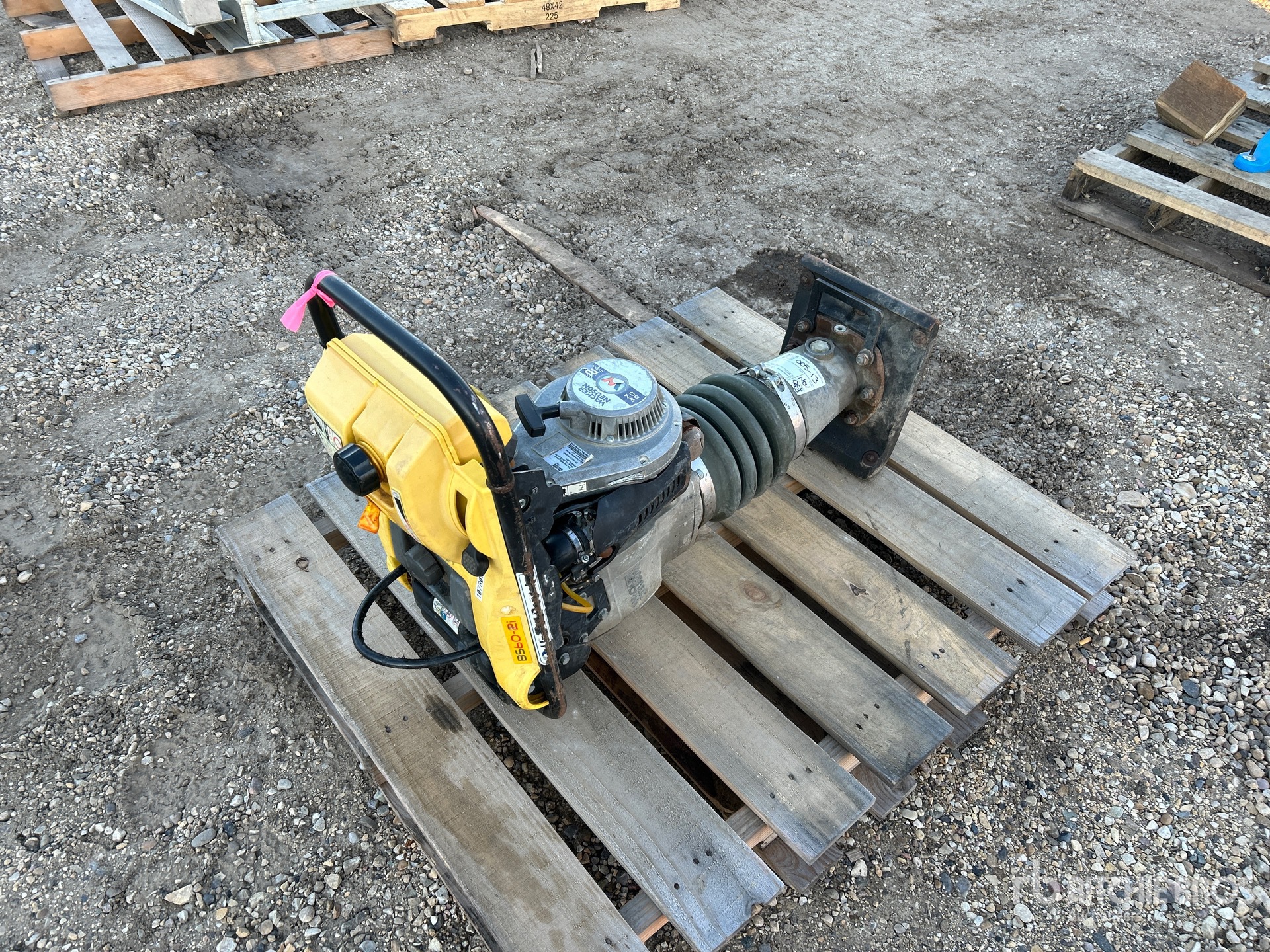 General Appearance with Bild, Ecke hinten rechts