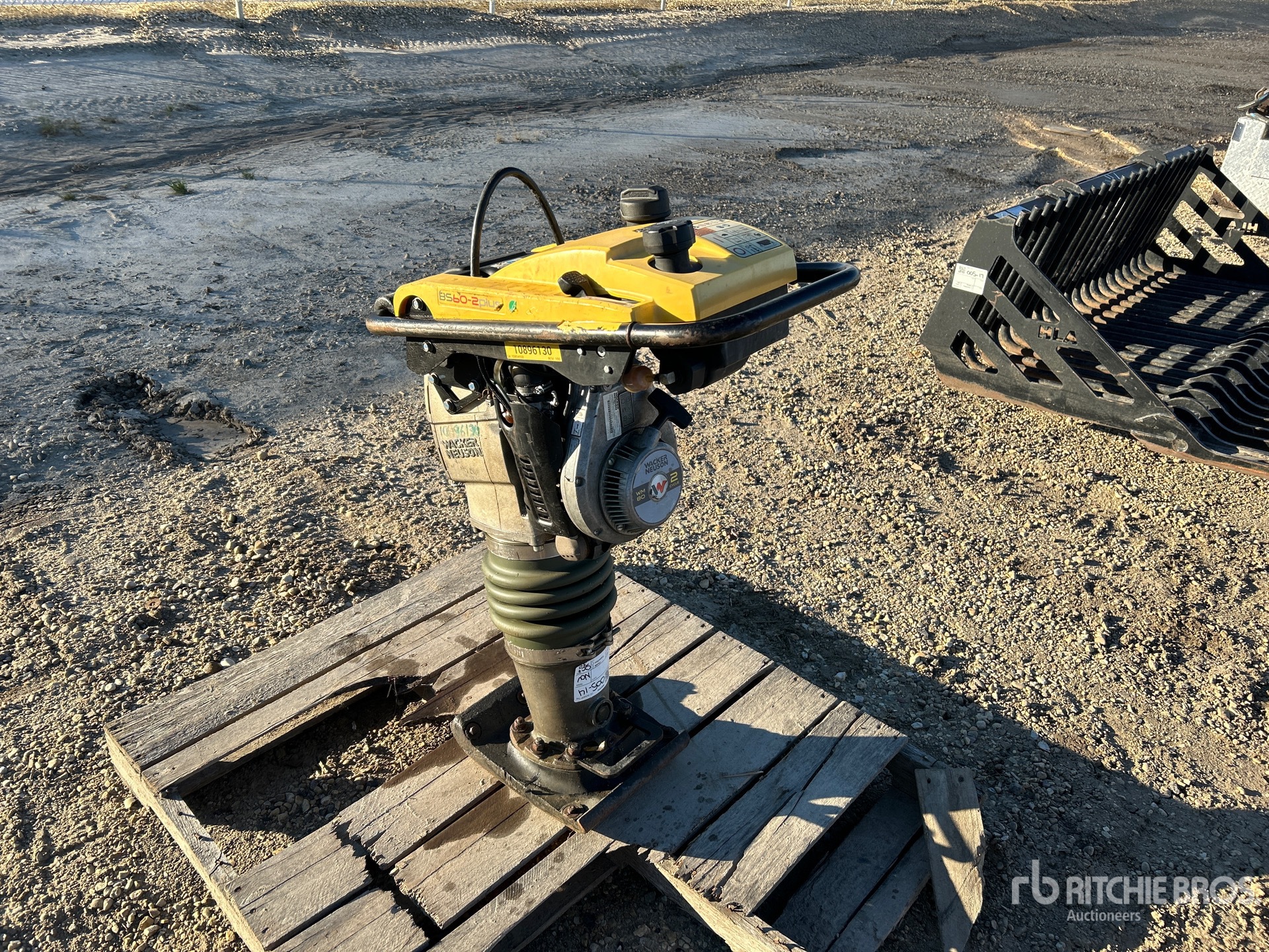 General Appearance with Bild, Ecke vorne rechts