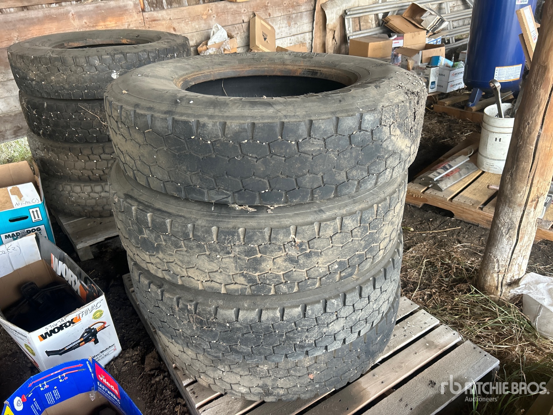 General Appearance with 