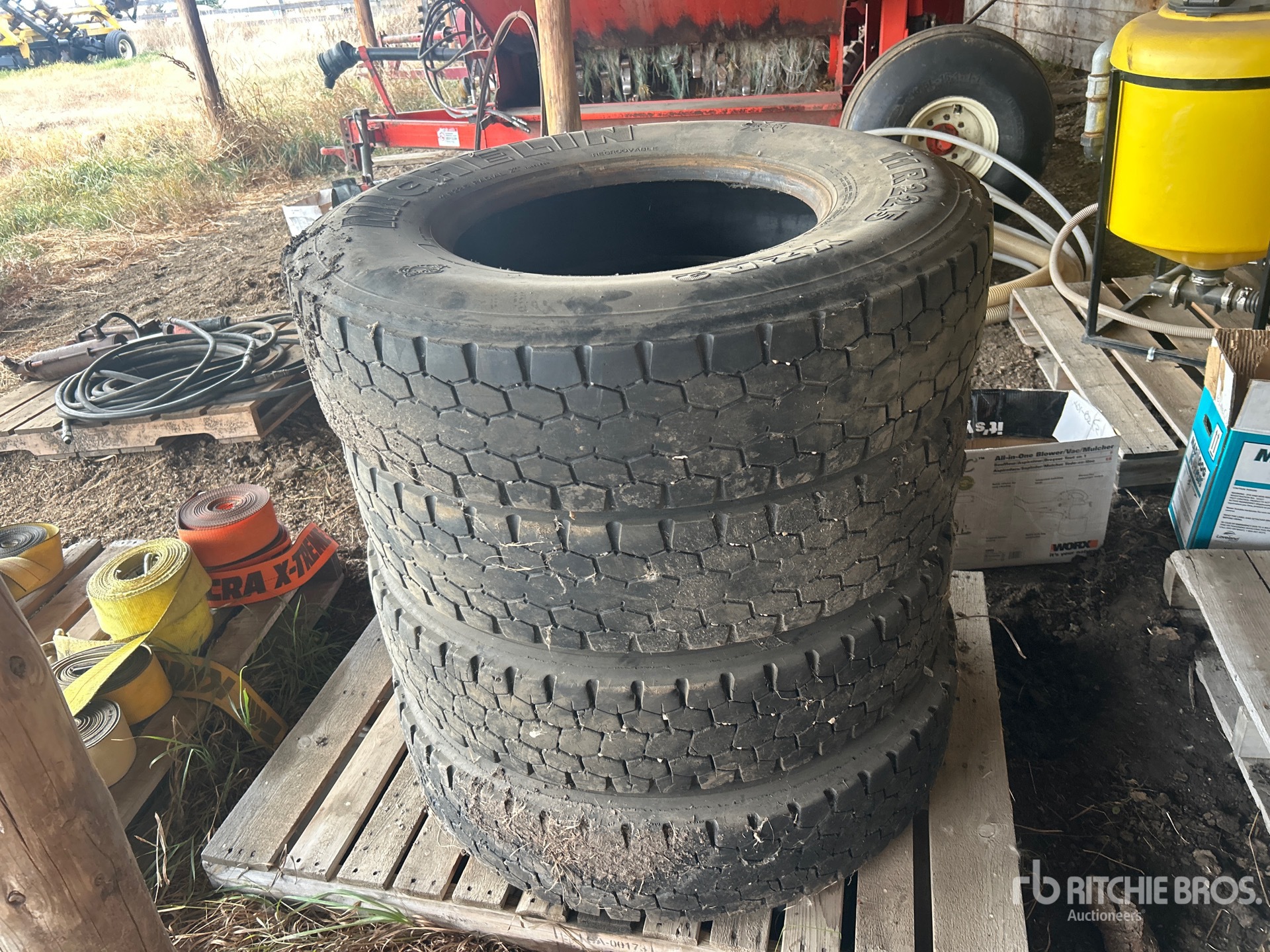 General Appearance with 