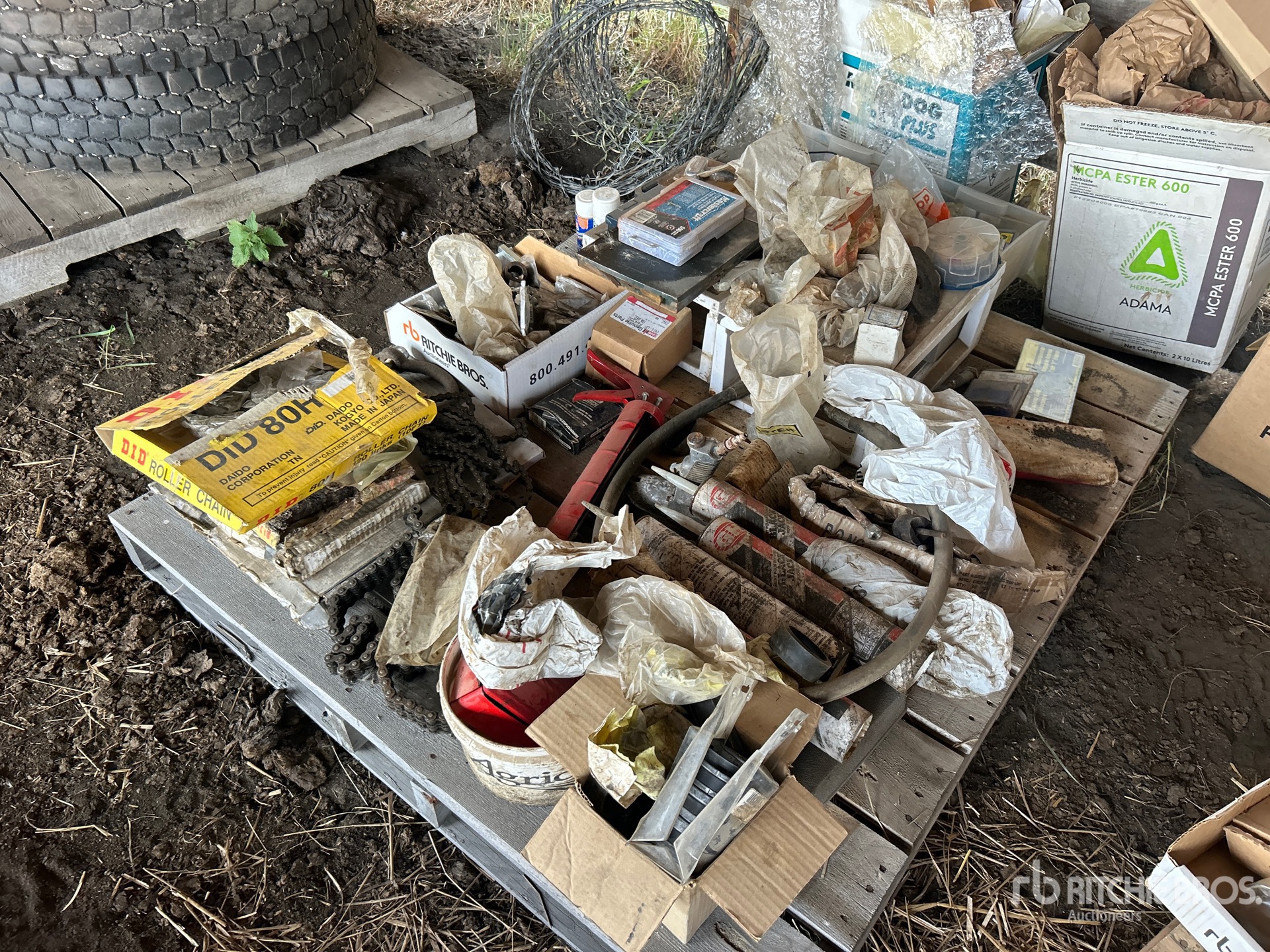 General Appearance with 