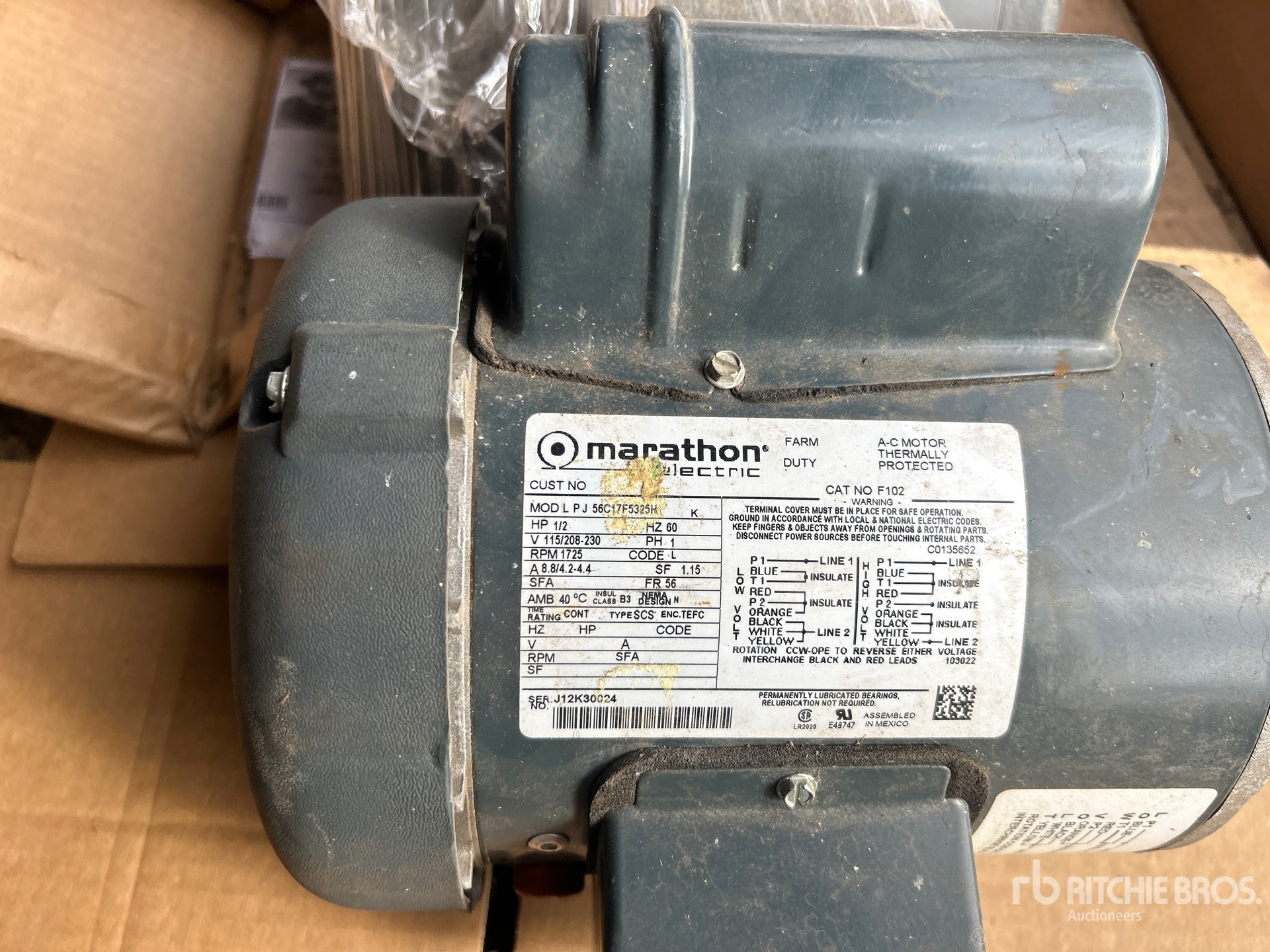 General Appearance with 