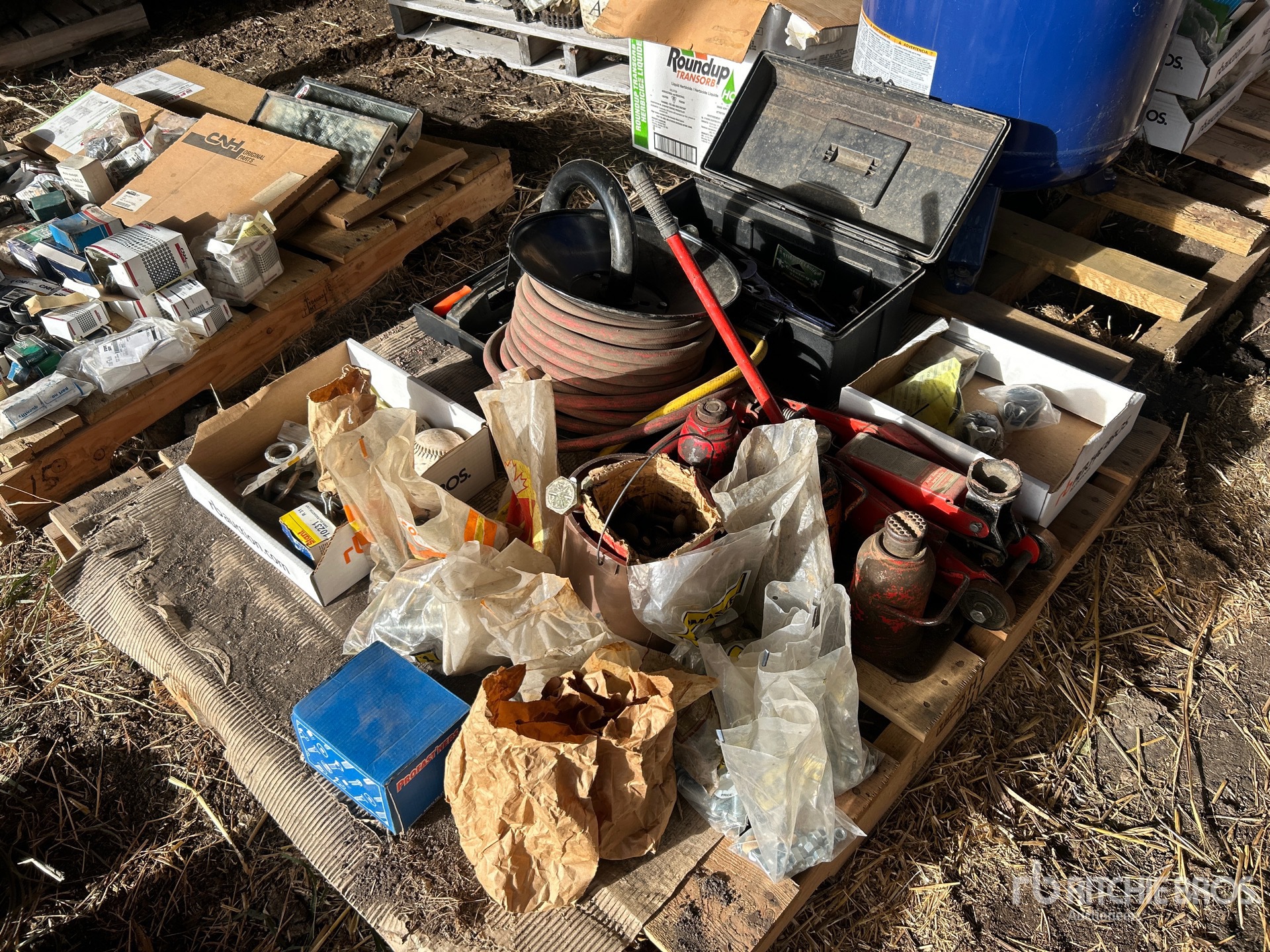 General Appearance with 