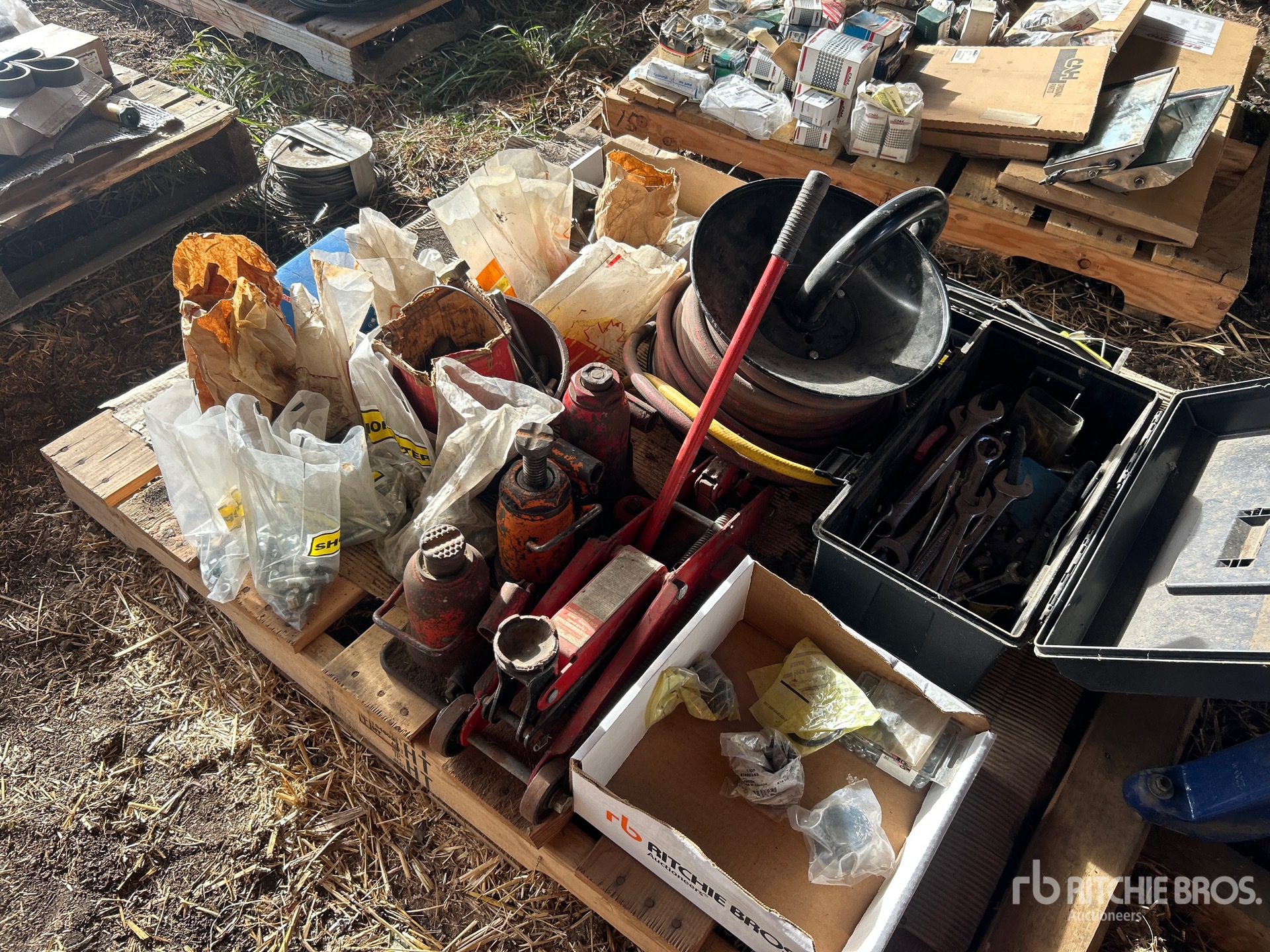 General Appearance with 