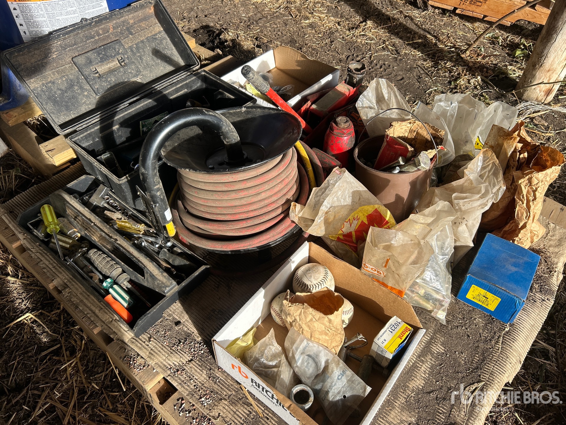 General Appearance with 