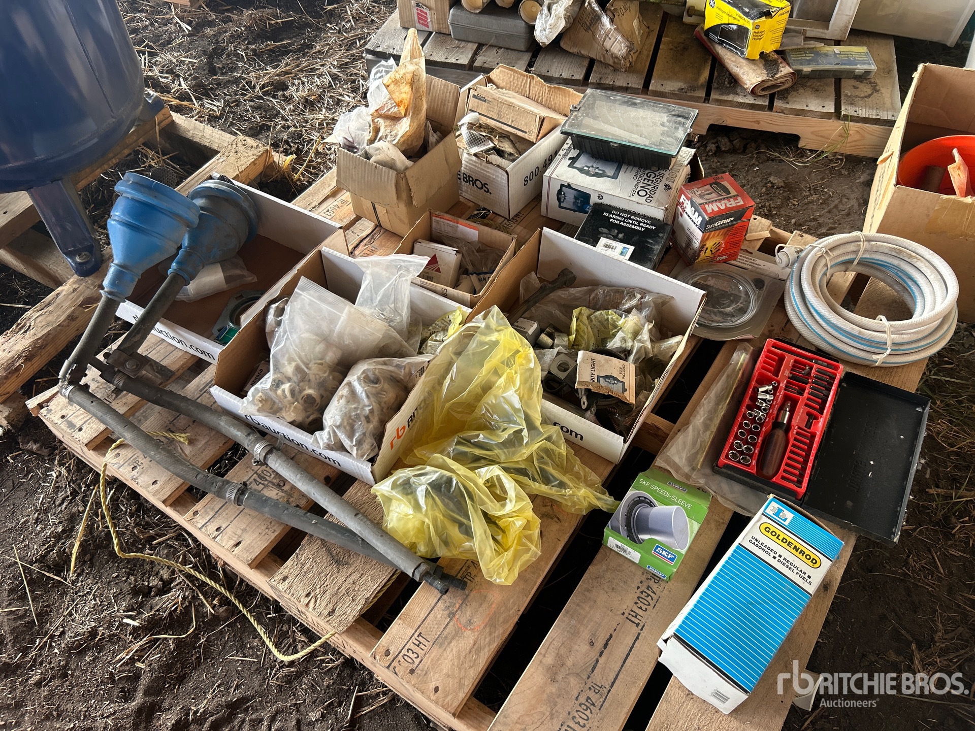 General Appearance with 