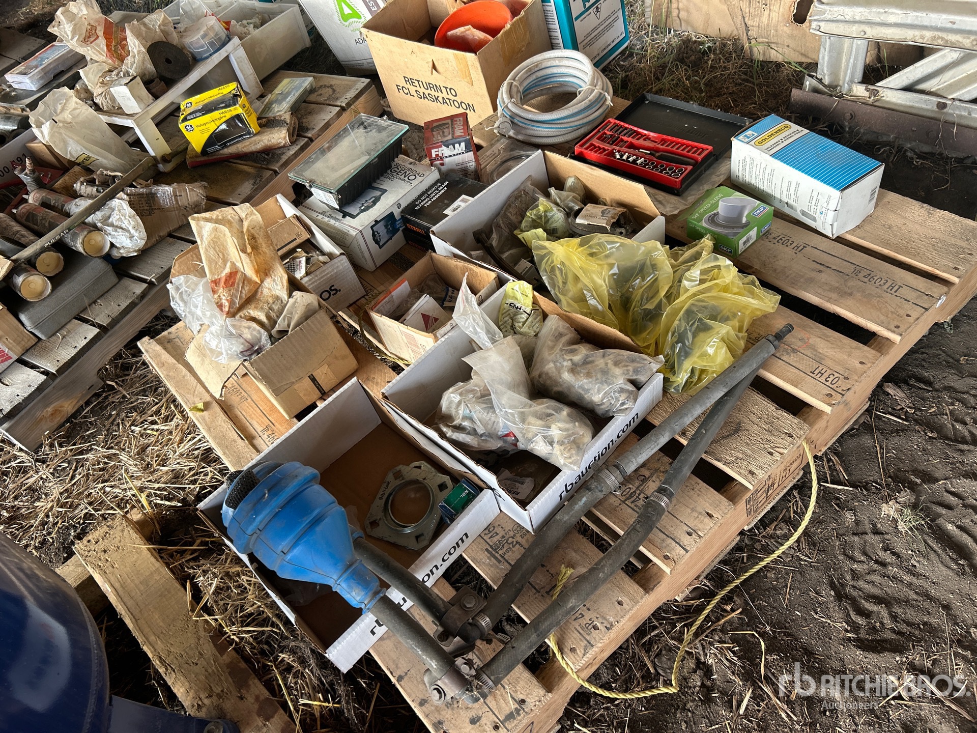 General Appearance with 