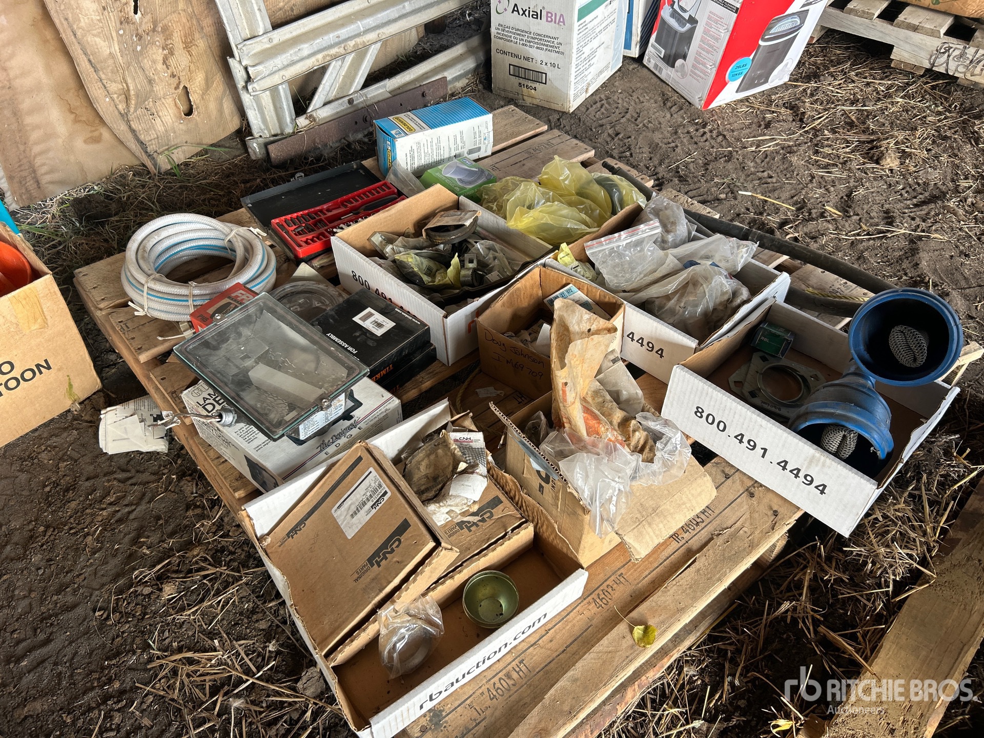 General Appearance with 