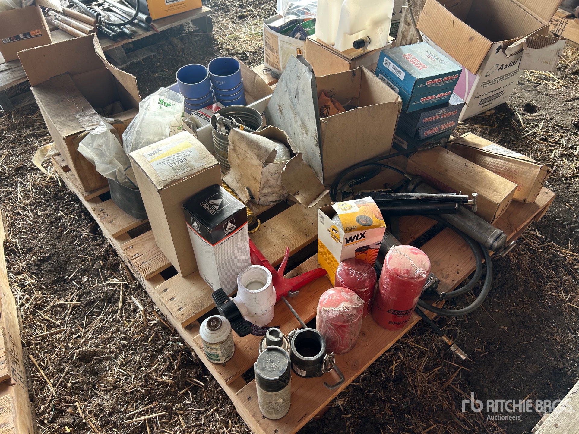 General Appearance with 