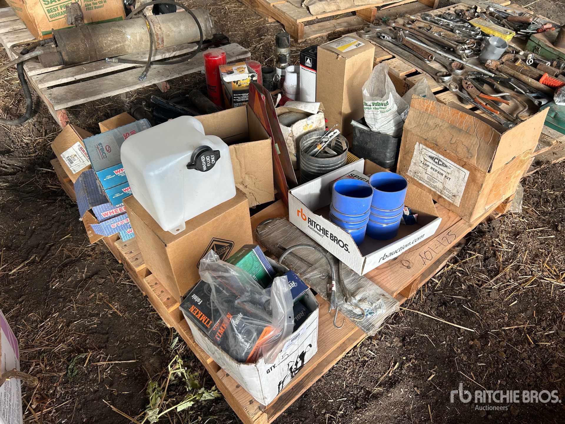 General Appearance with 