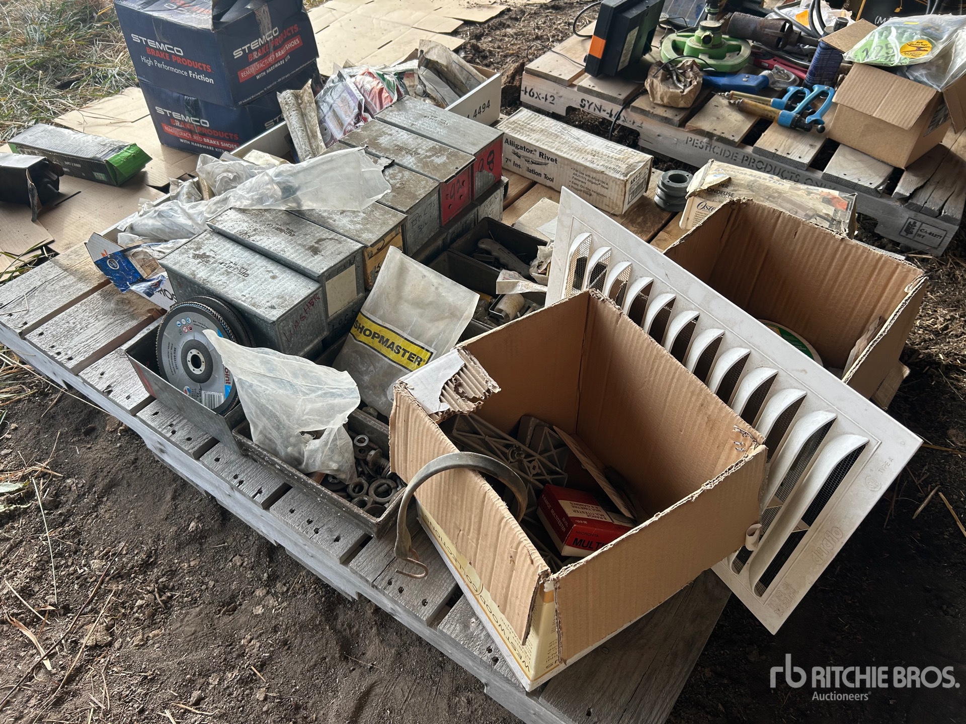 General Appearance with 