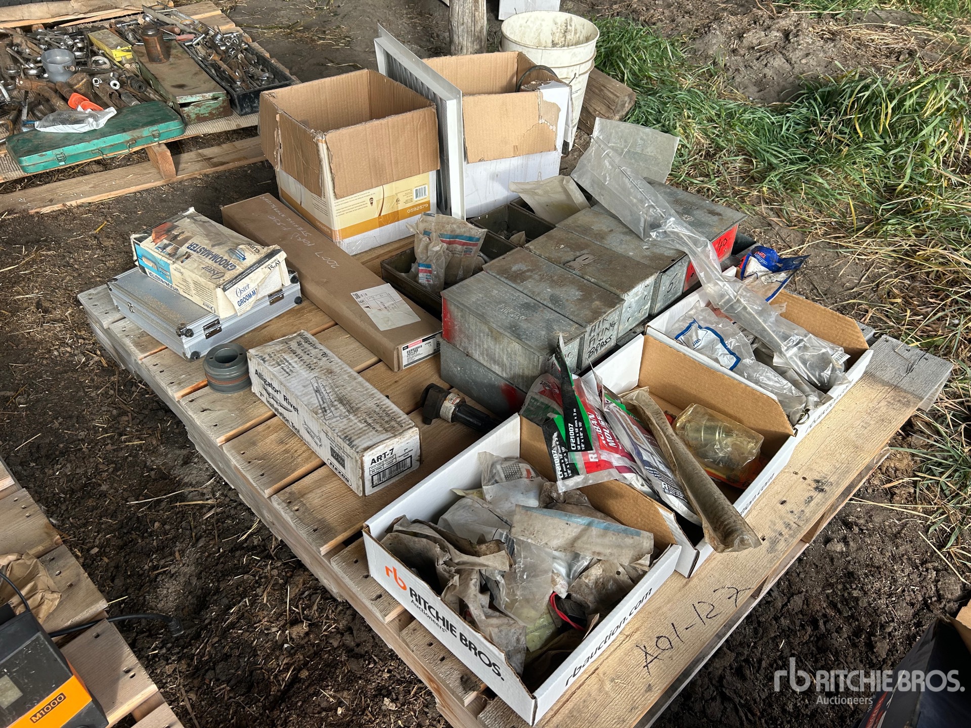 General Appearance with 