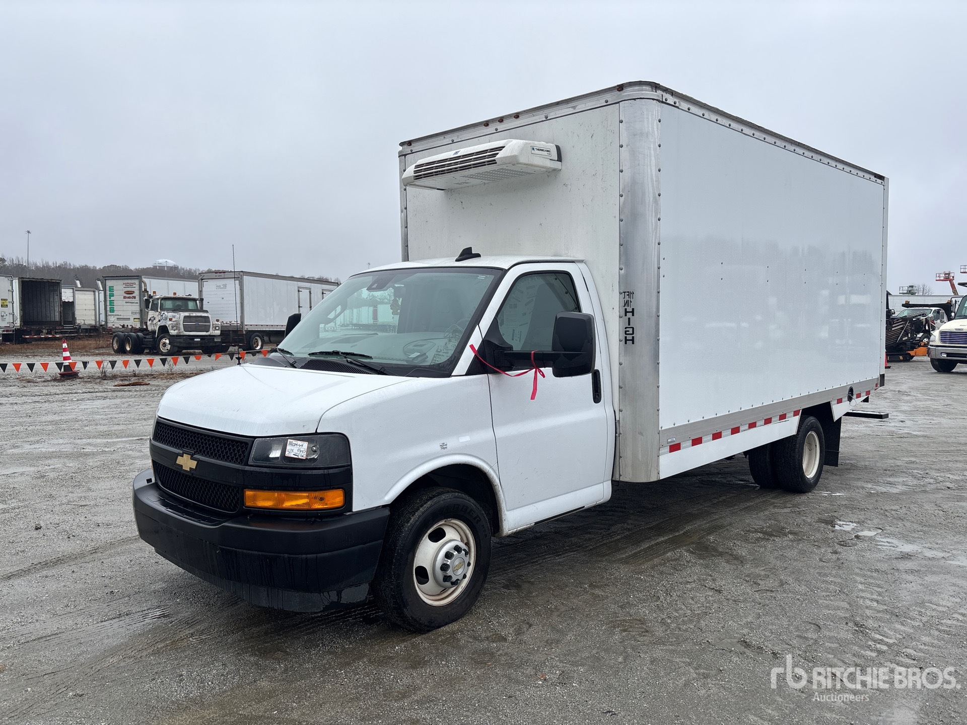 General Appearance with Spin