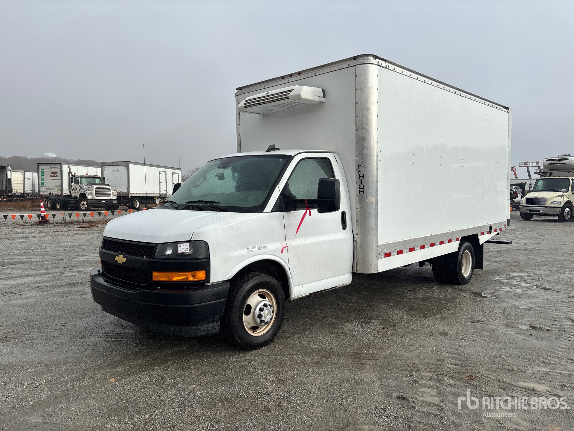 General Appearance with Spin