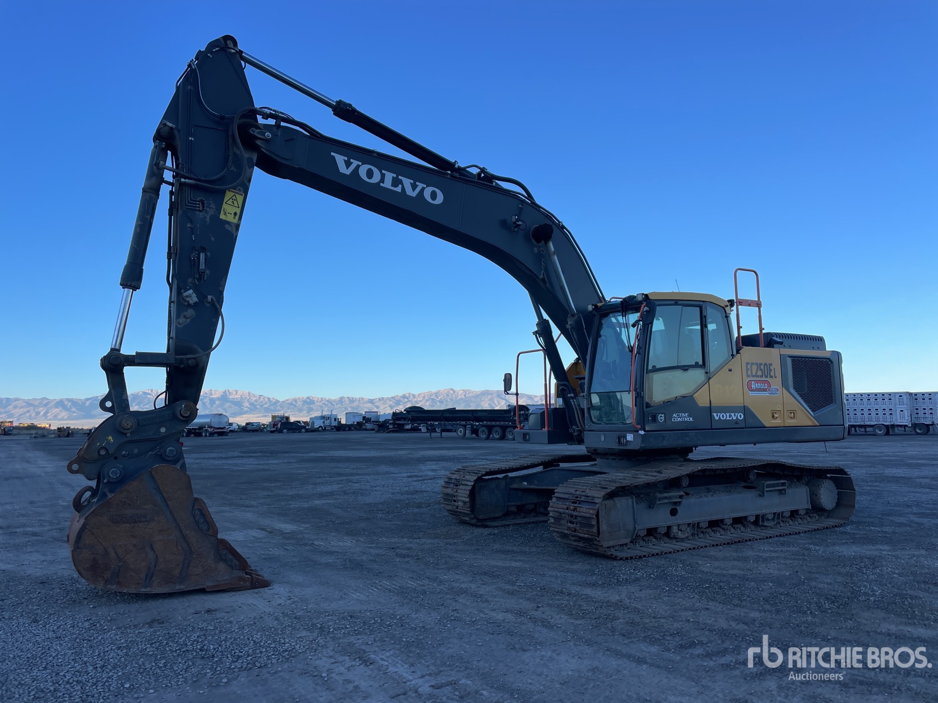 General Appearance with Spin